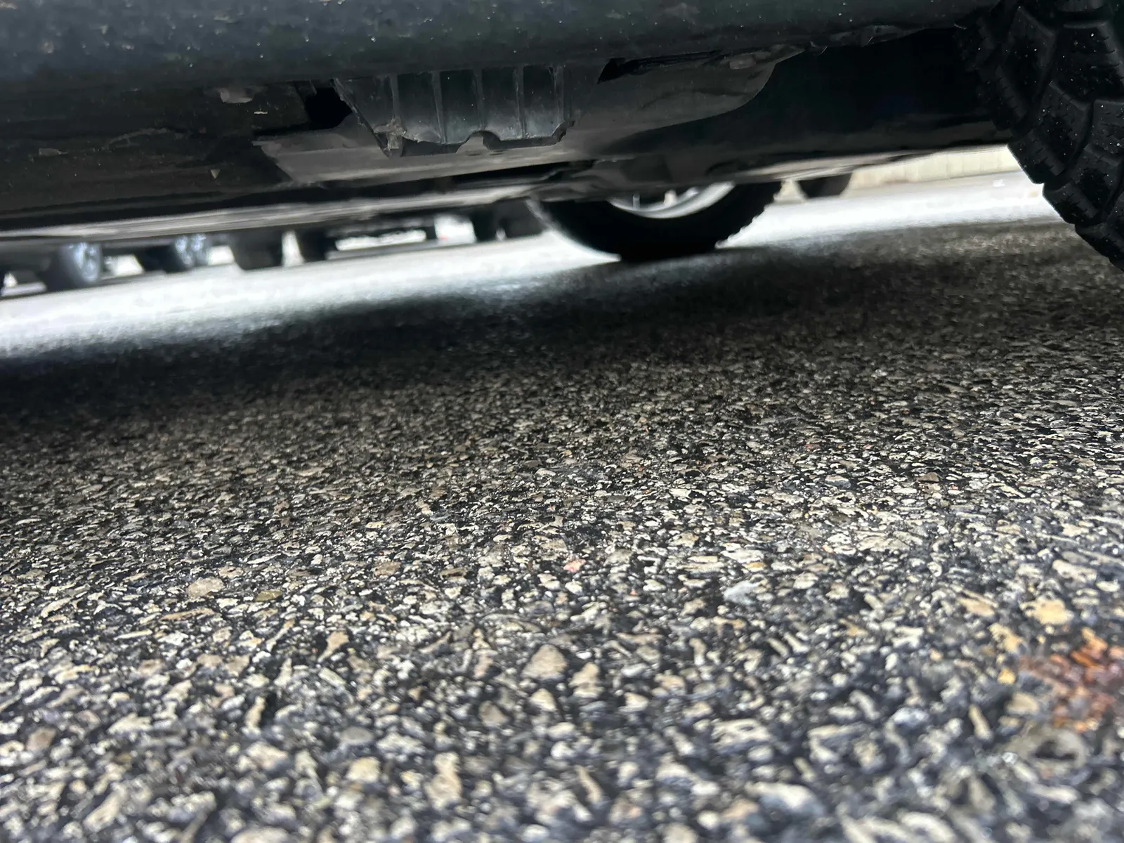 Additional Photo