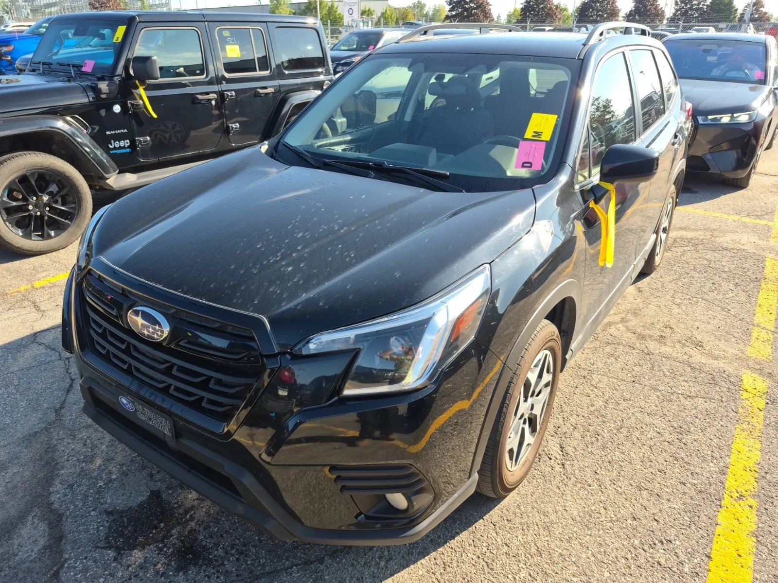 2023 Subaru Forester