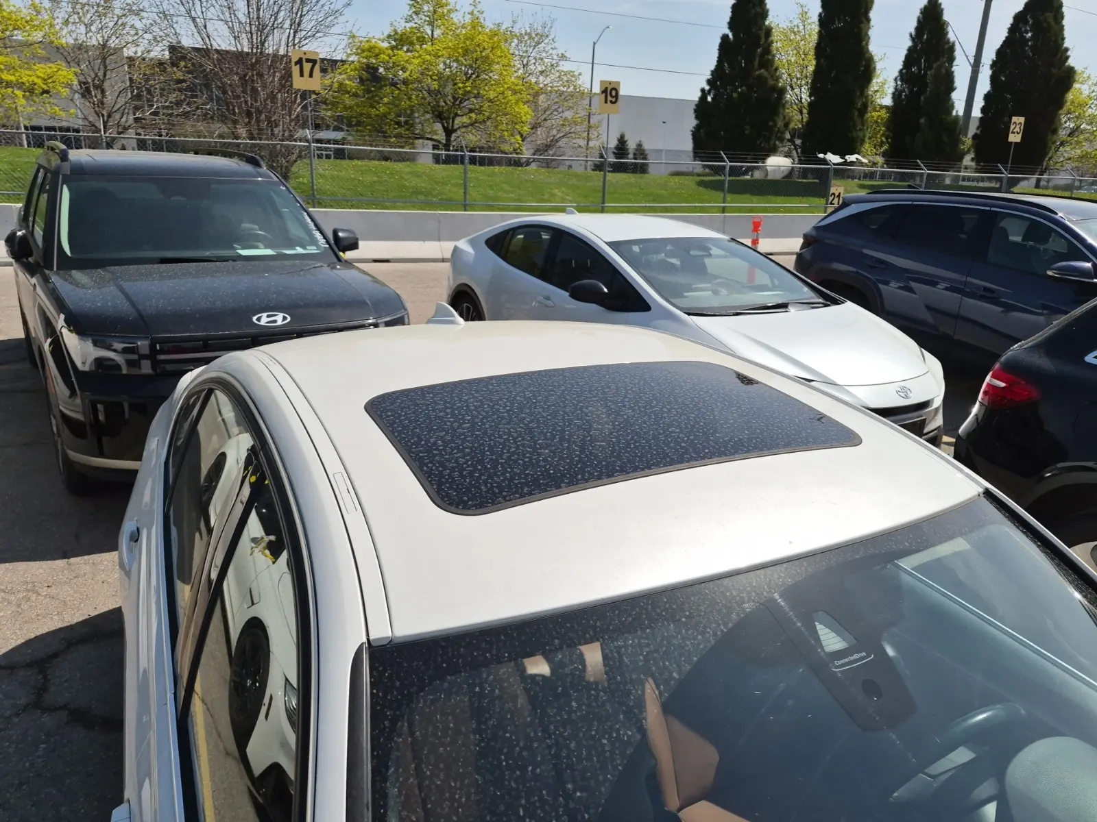 Additional Photo