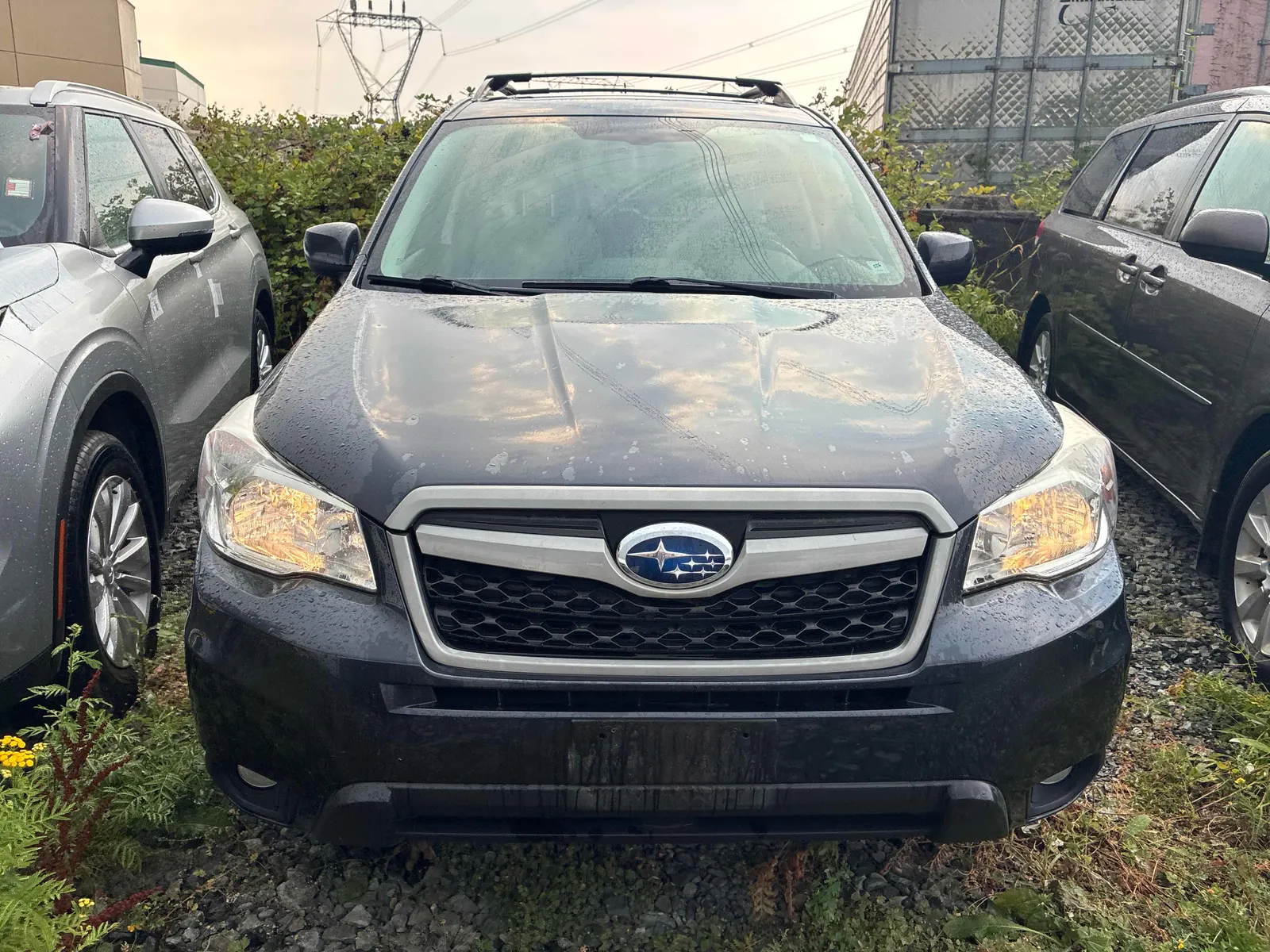 Front