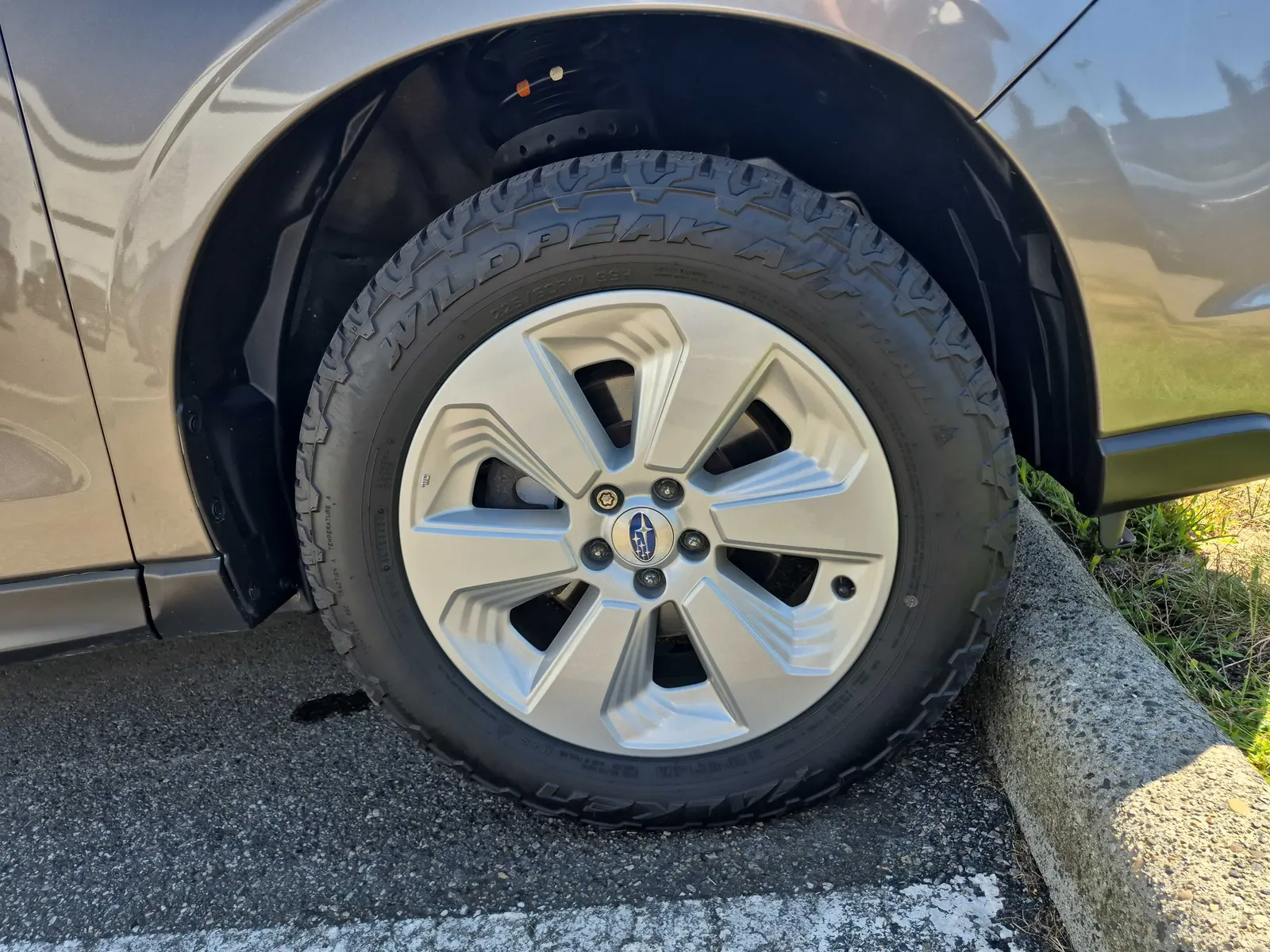 Tire