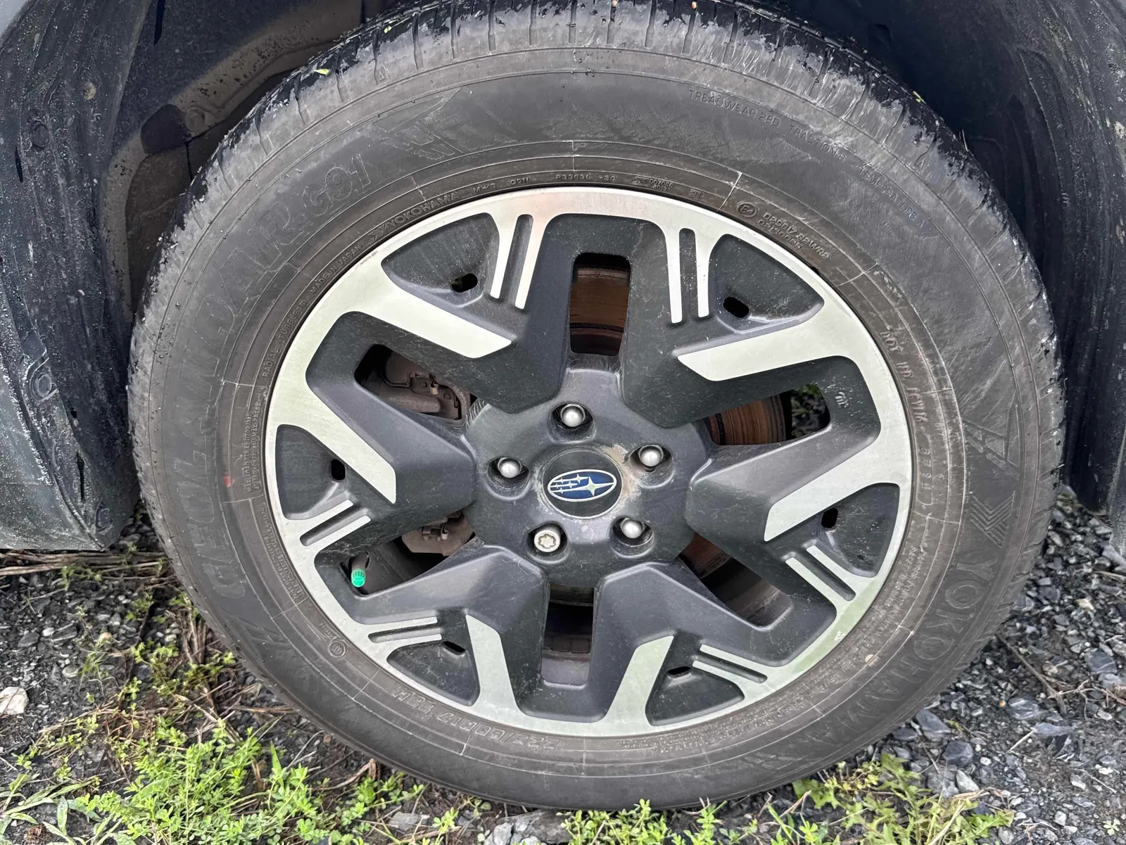 Tire