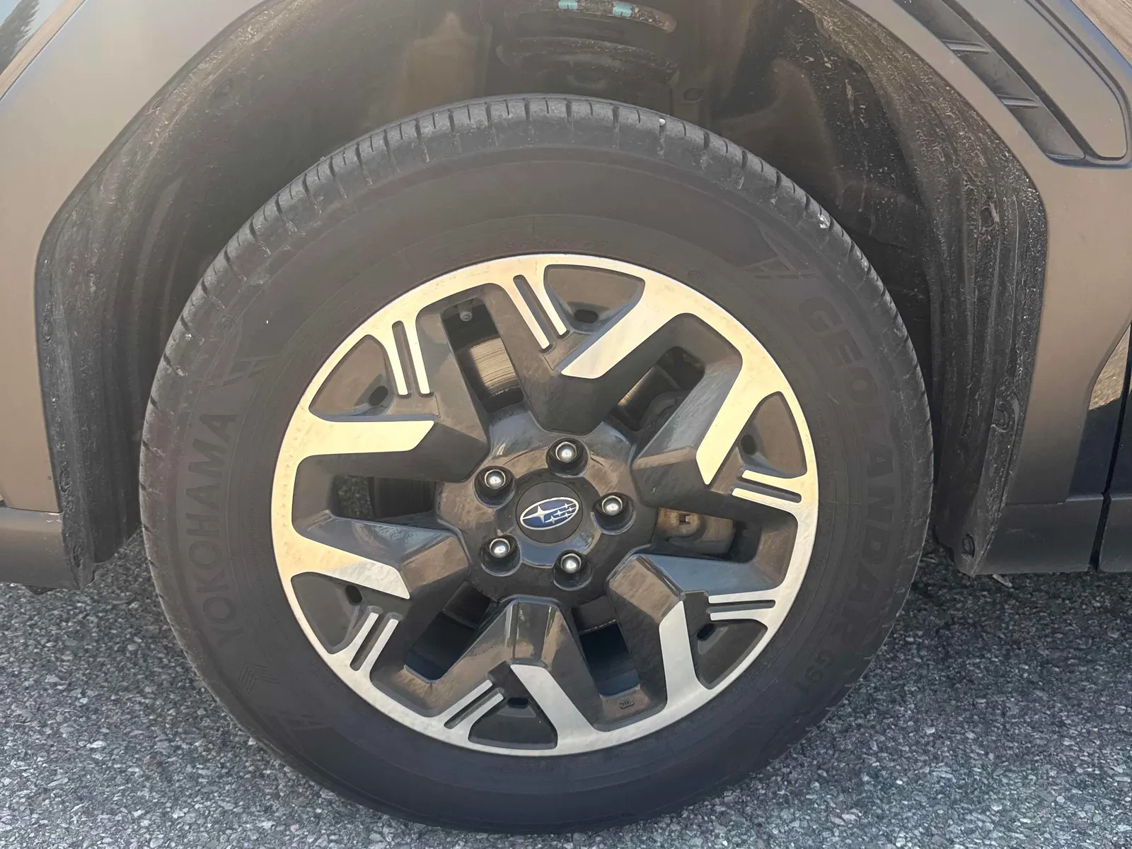 Tire