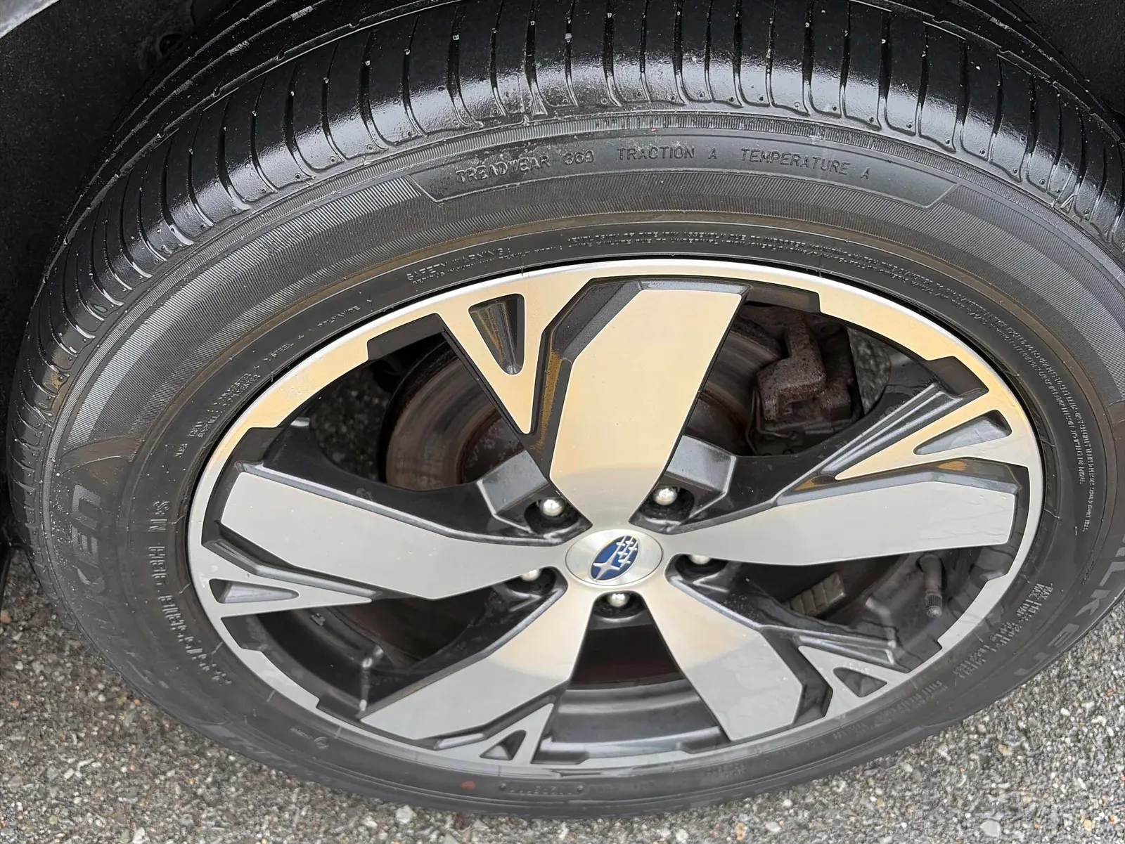 Tire