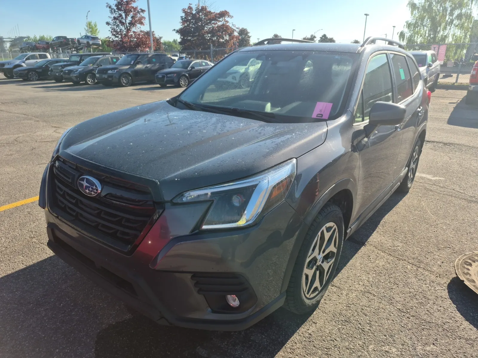 2024 Subaru Forester