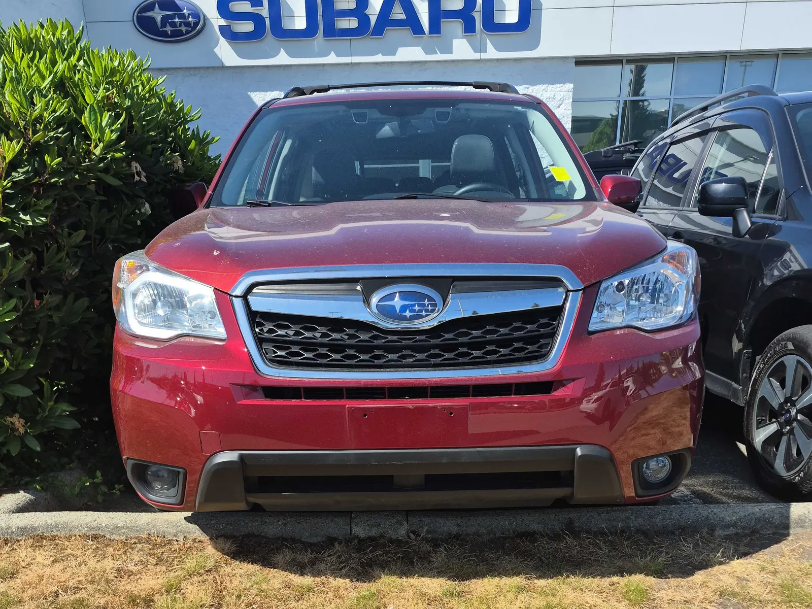 Front