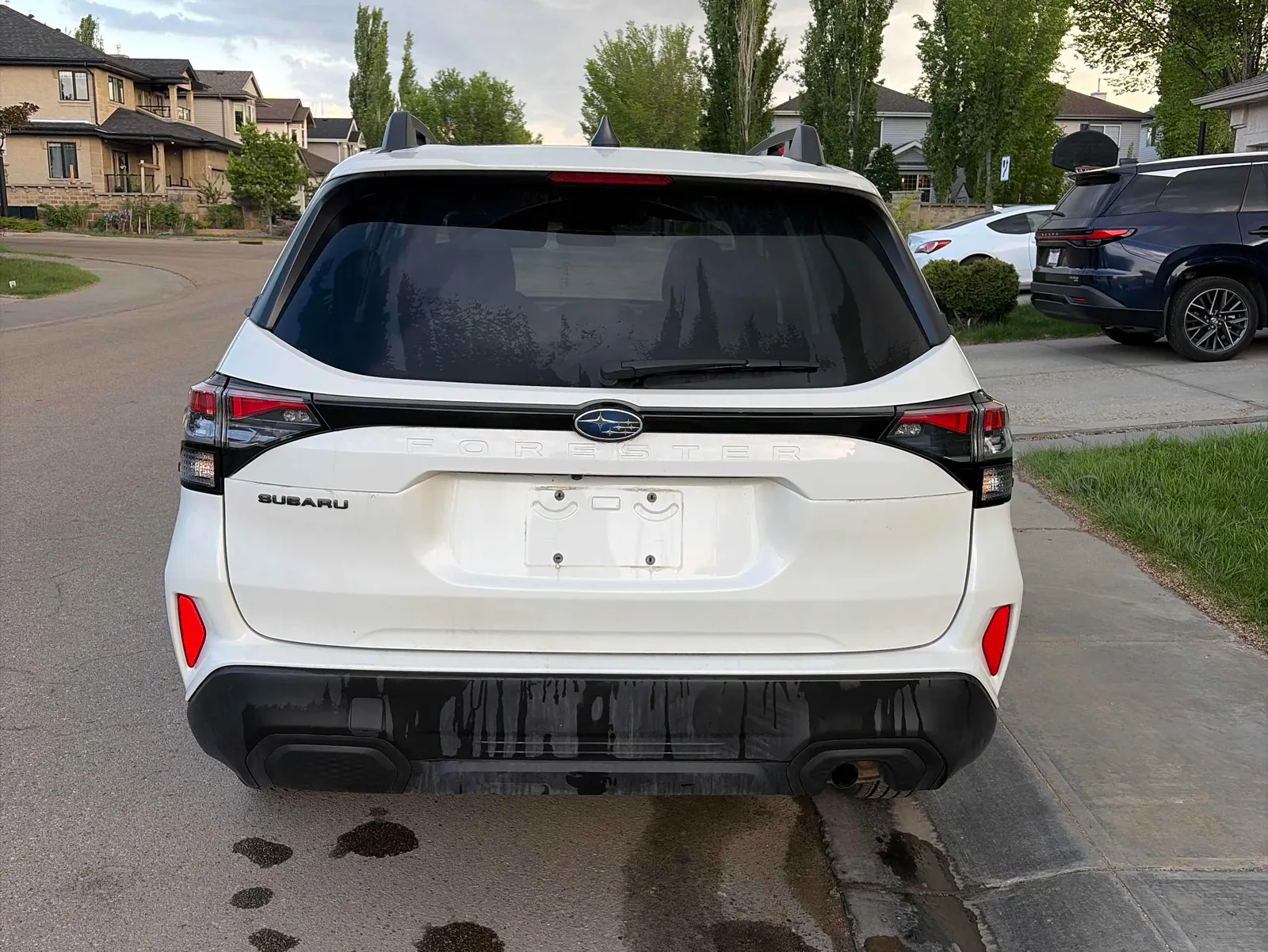 Back