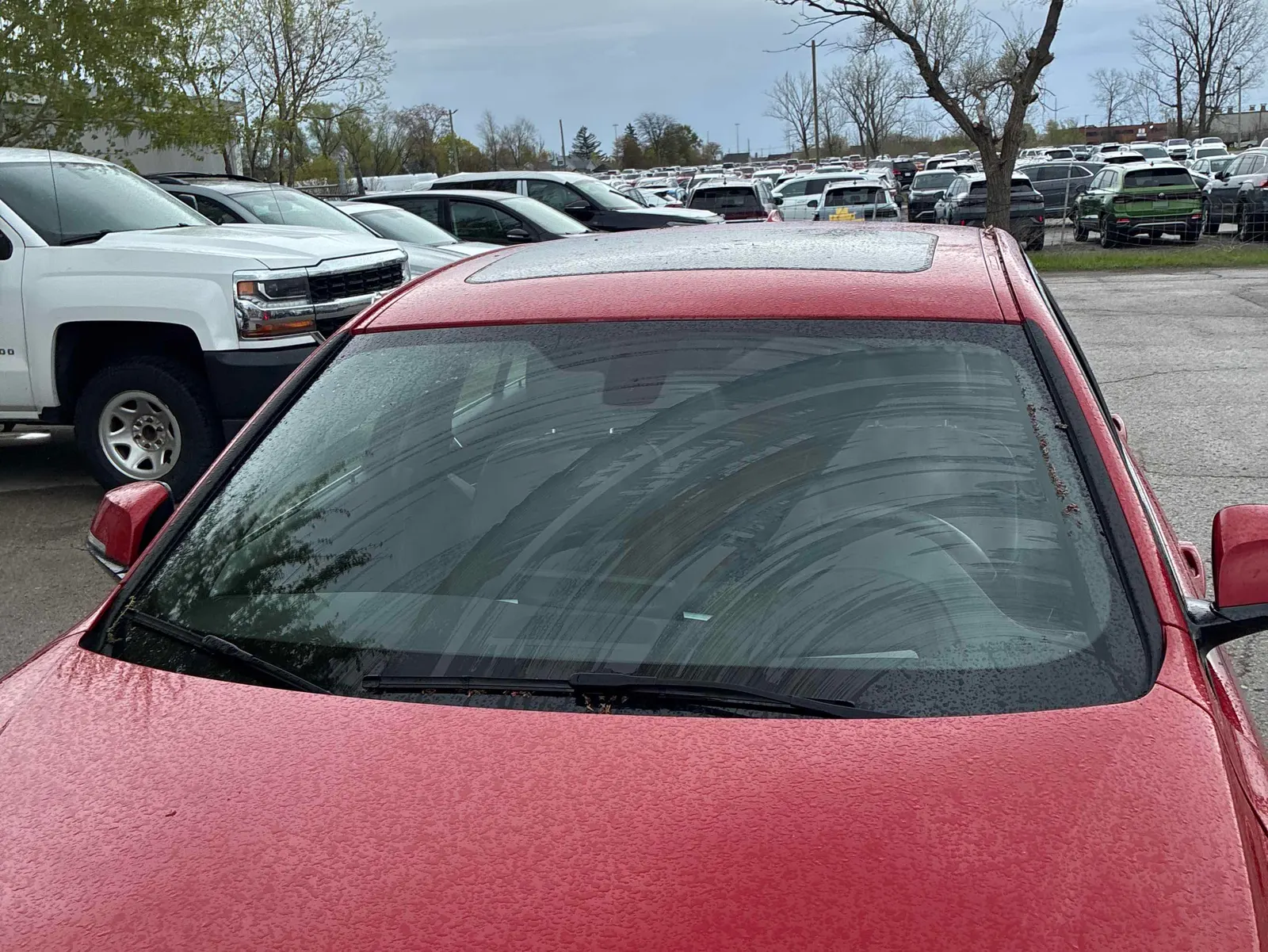 Additional Photo