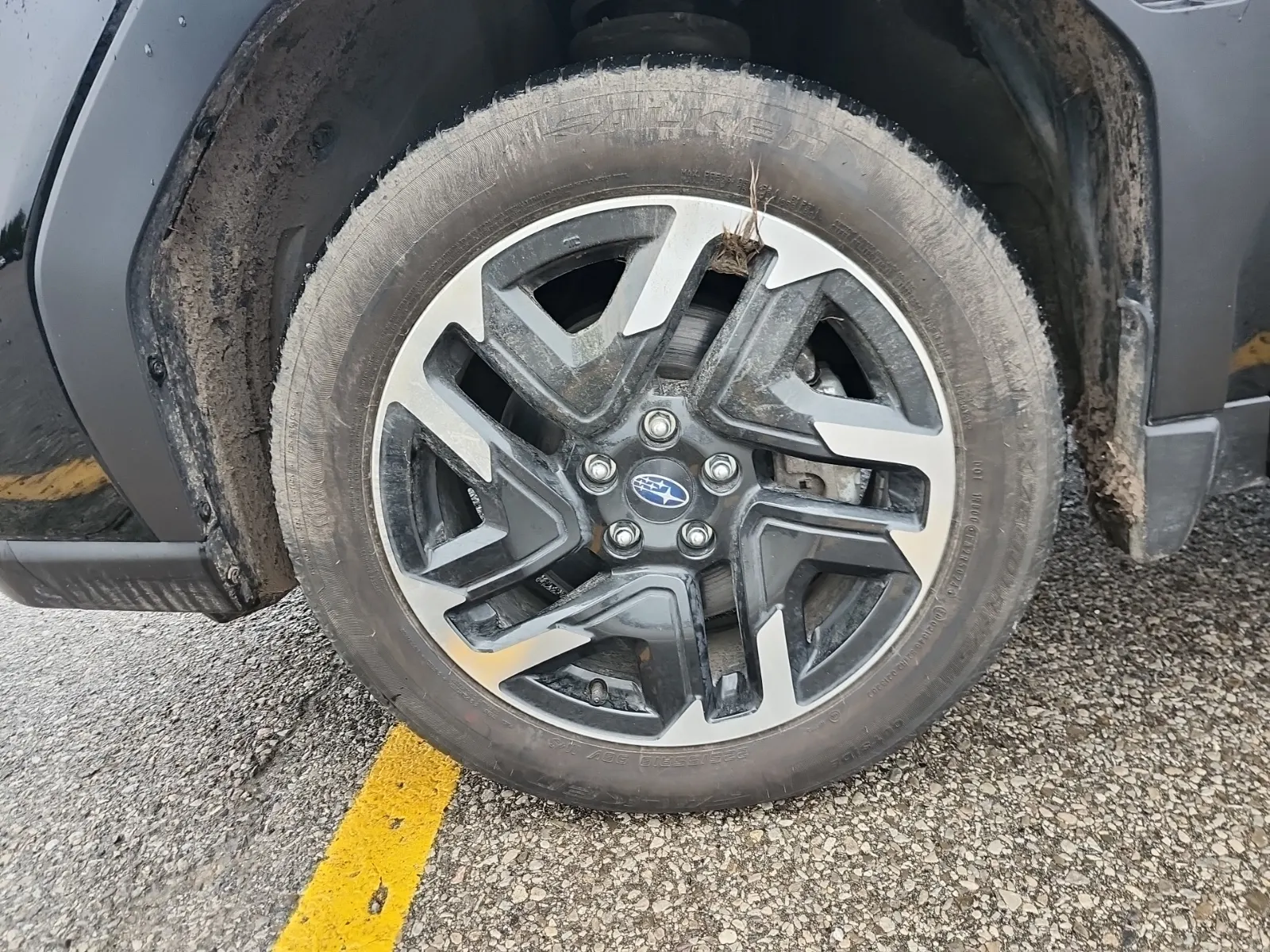 Tire