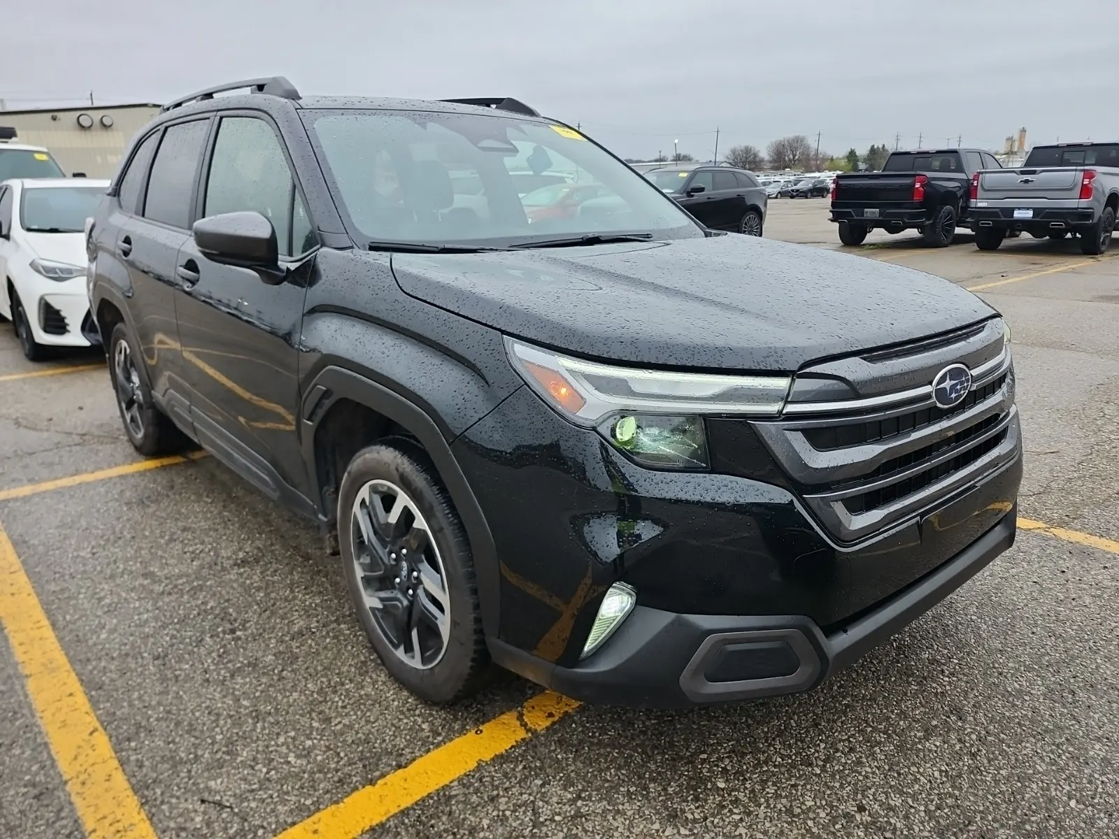 Additional Photo
