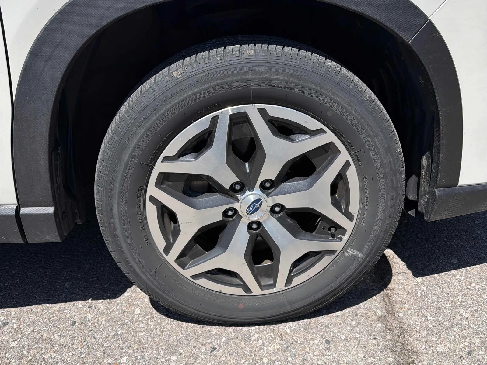 Tire