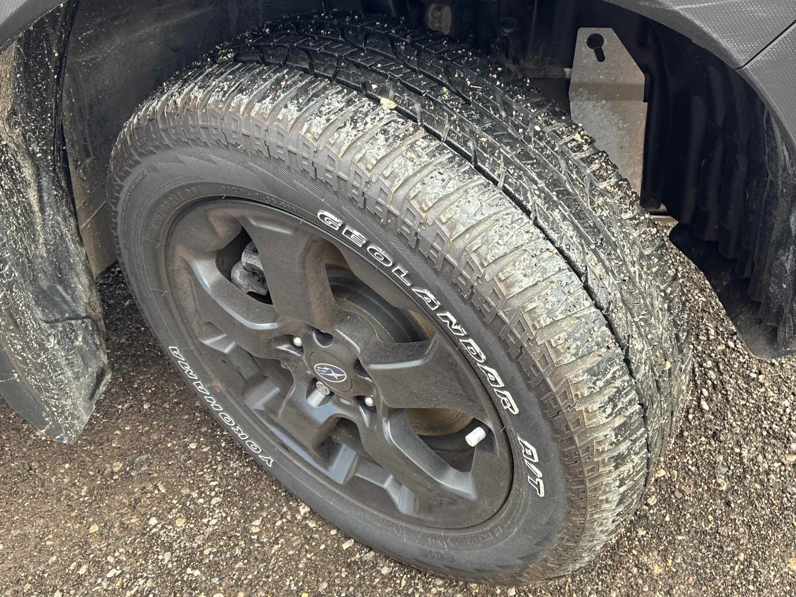 Tire