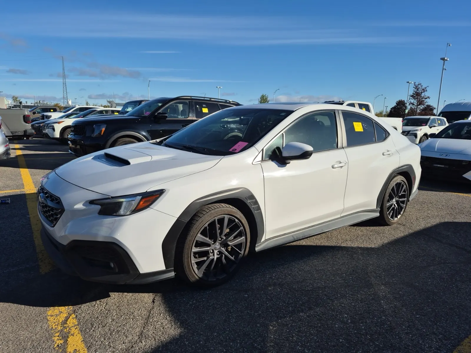 2024 Subaru WRX