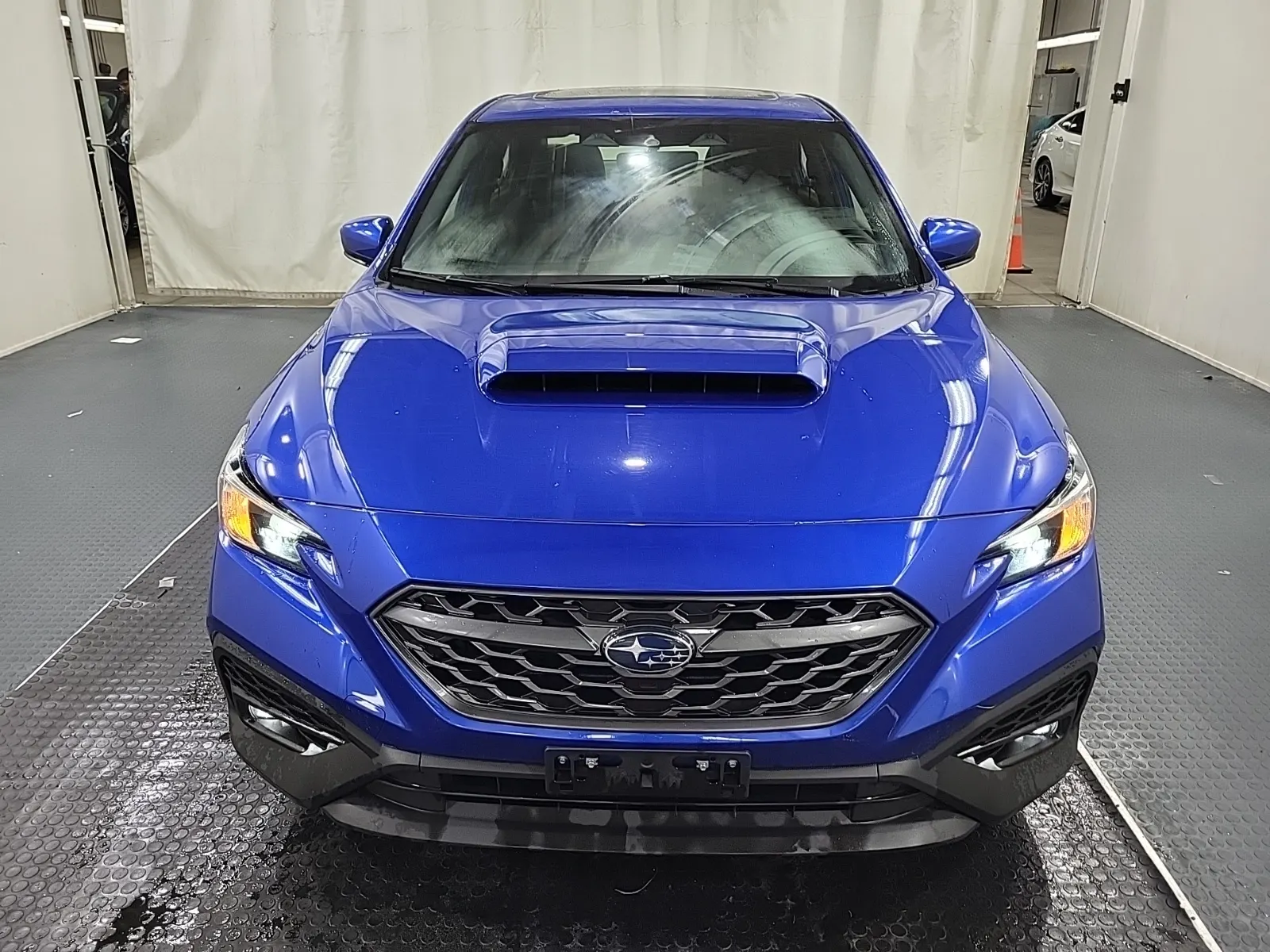 Full Front Photo