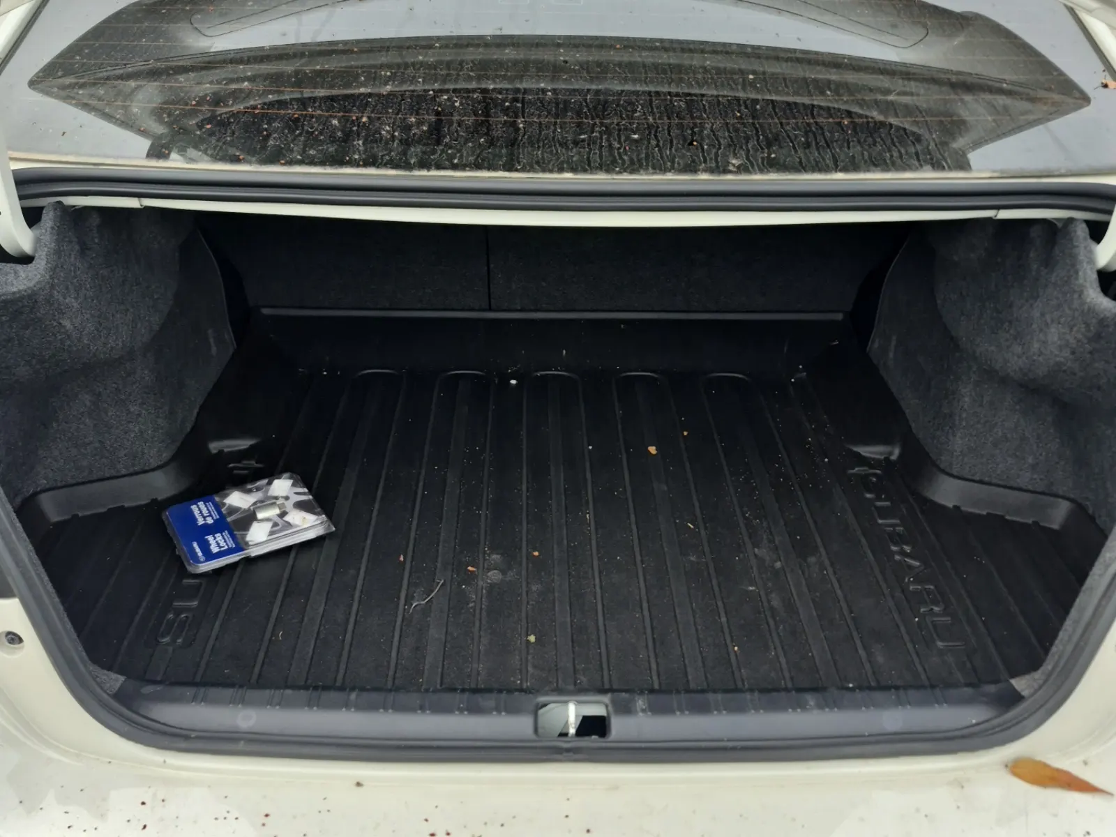 Cargo Area Photo