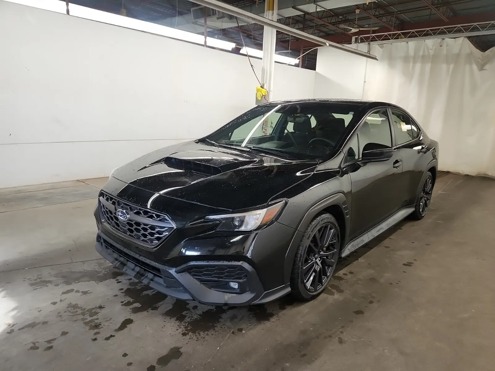 2024 Subaru WRX