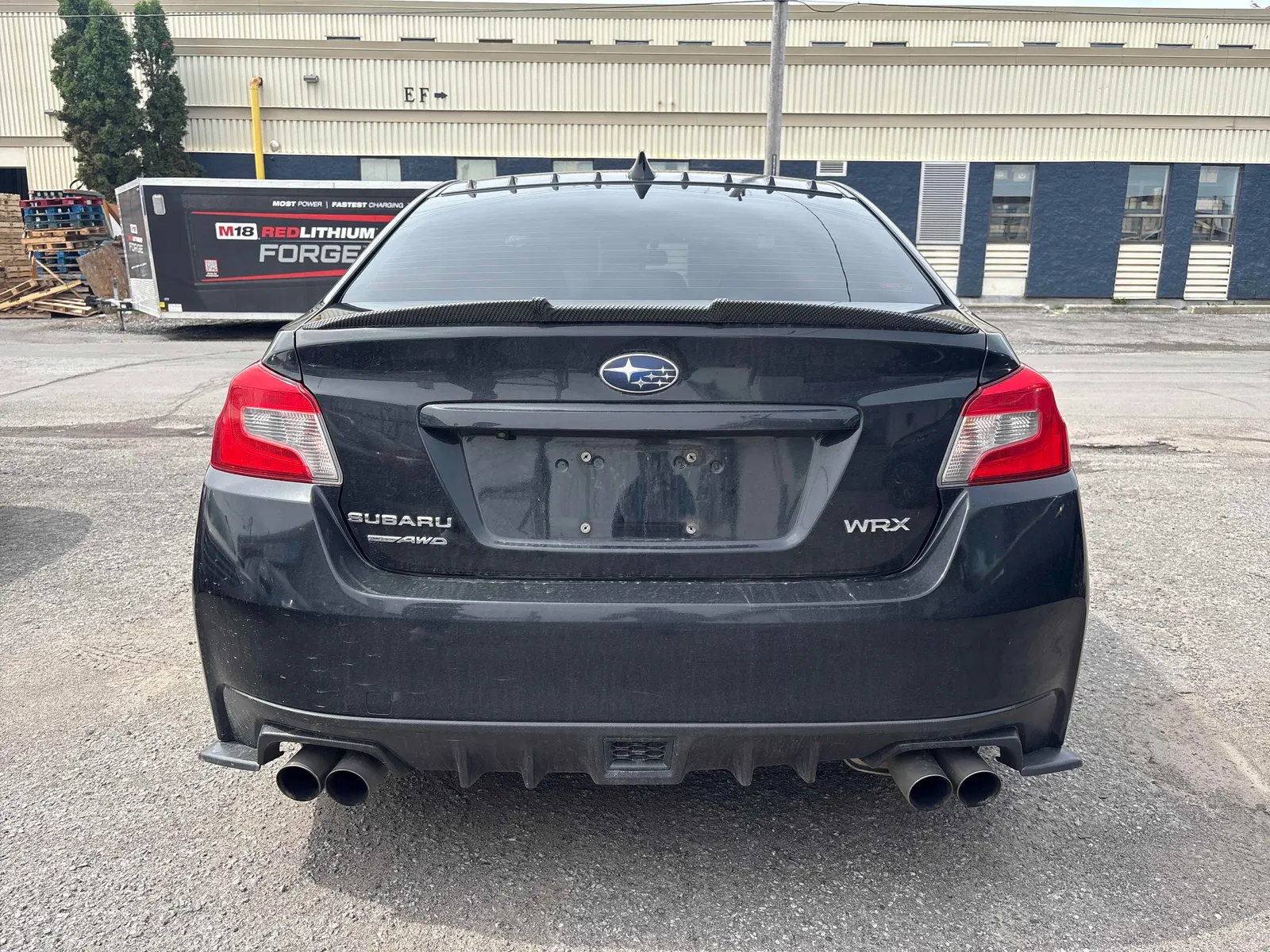 Back