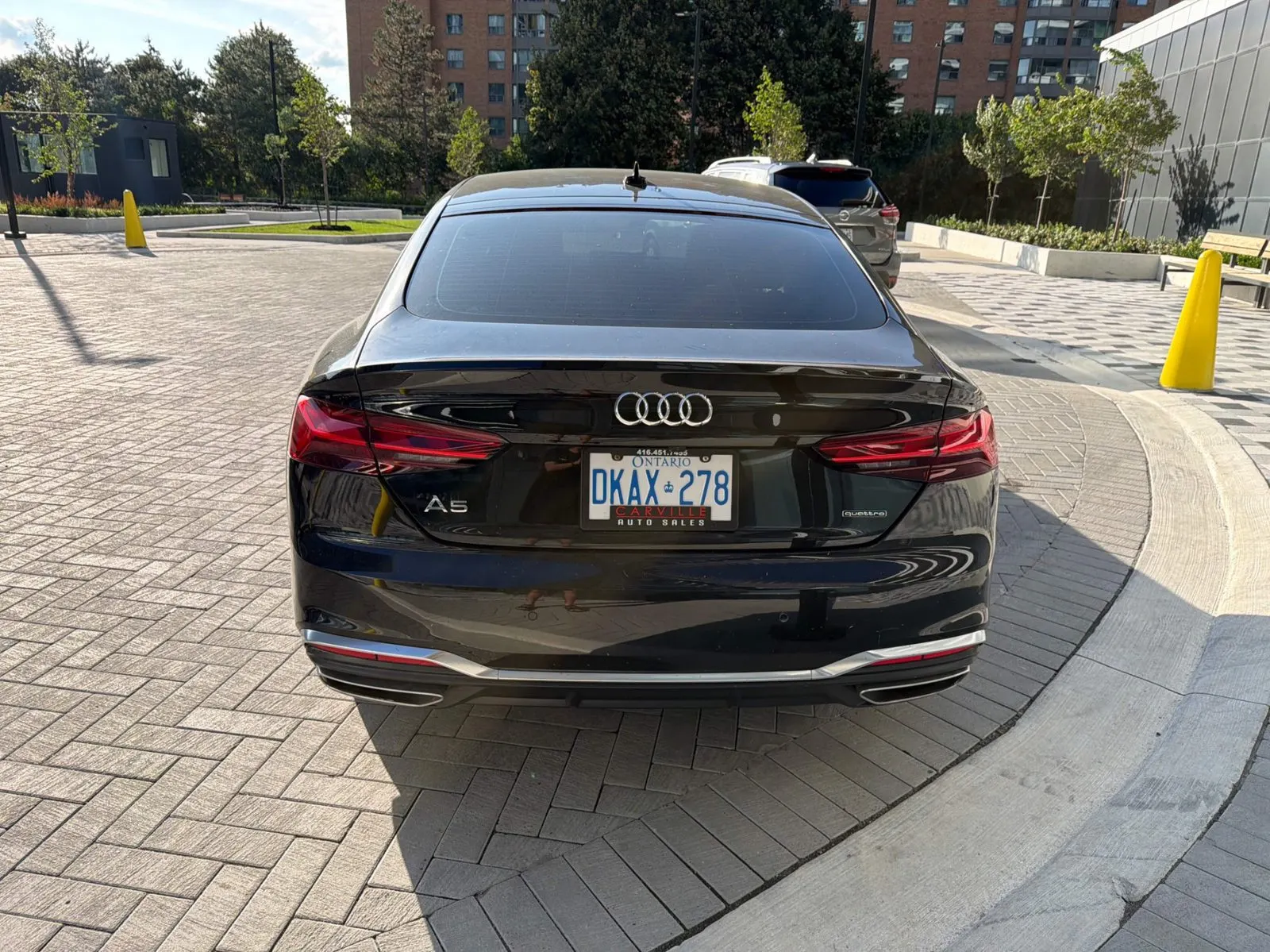 Back