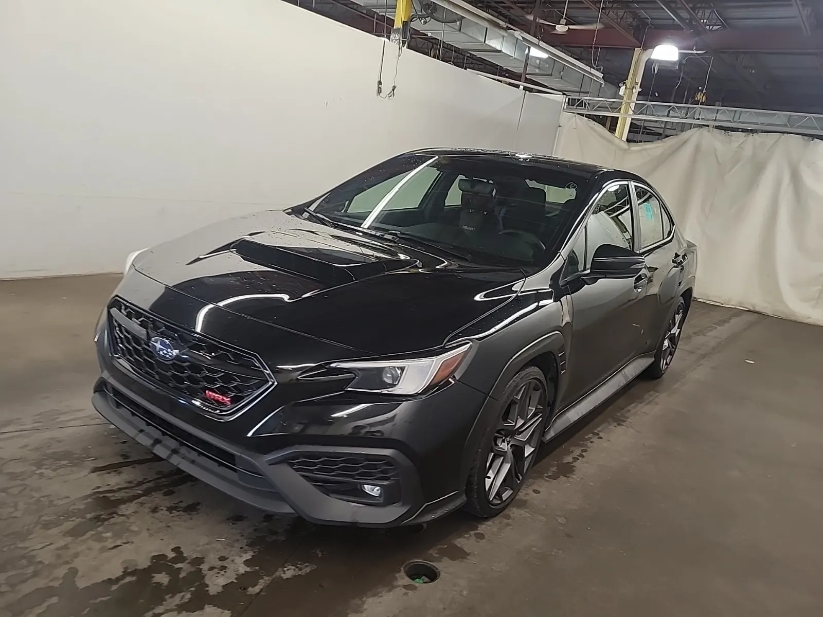 2025 Subaru WRX