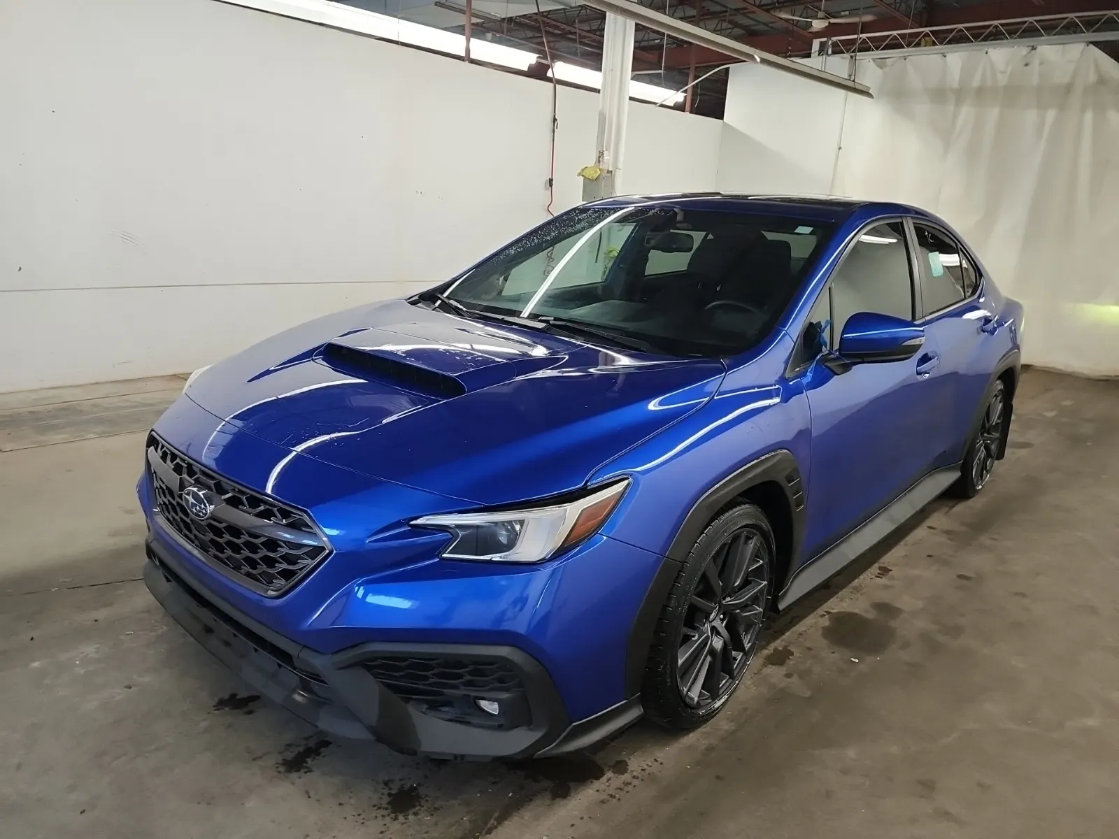 2023 Subaru WRX