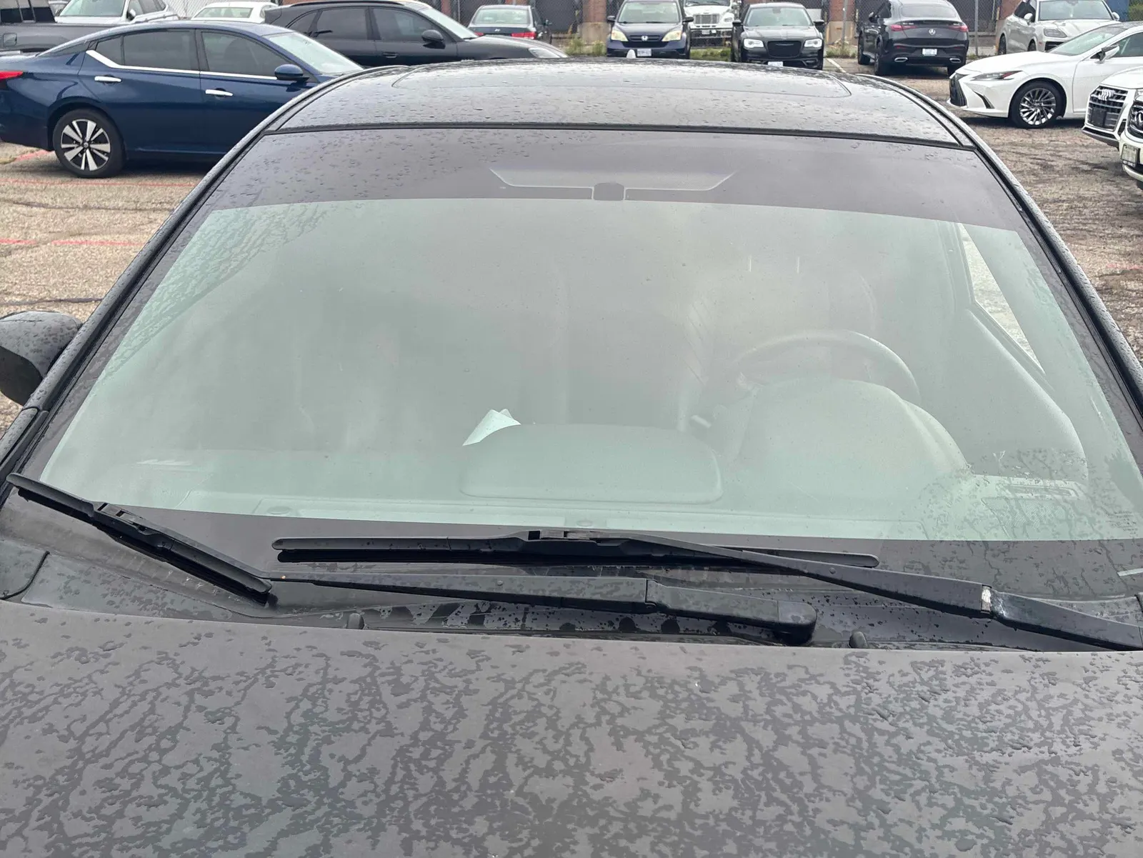 Additional Photo