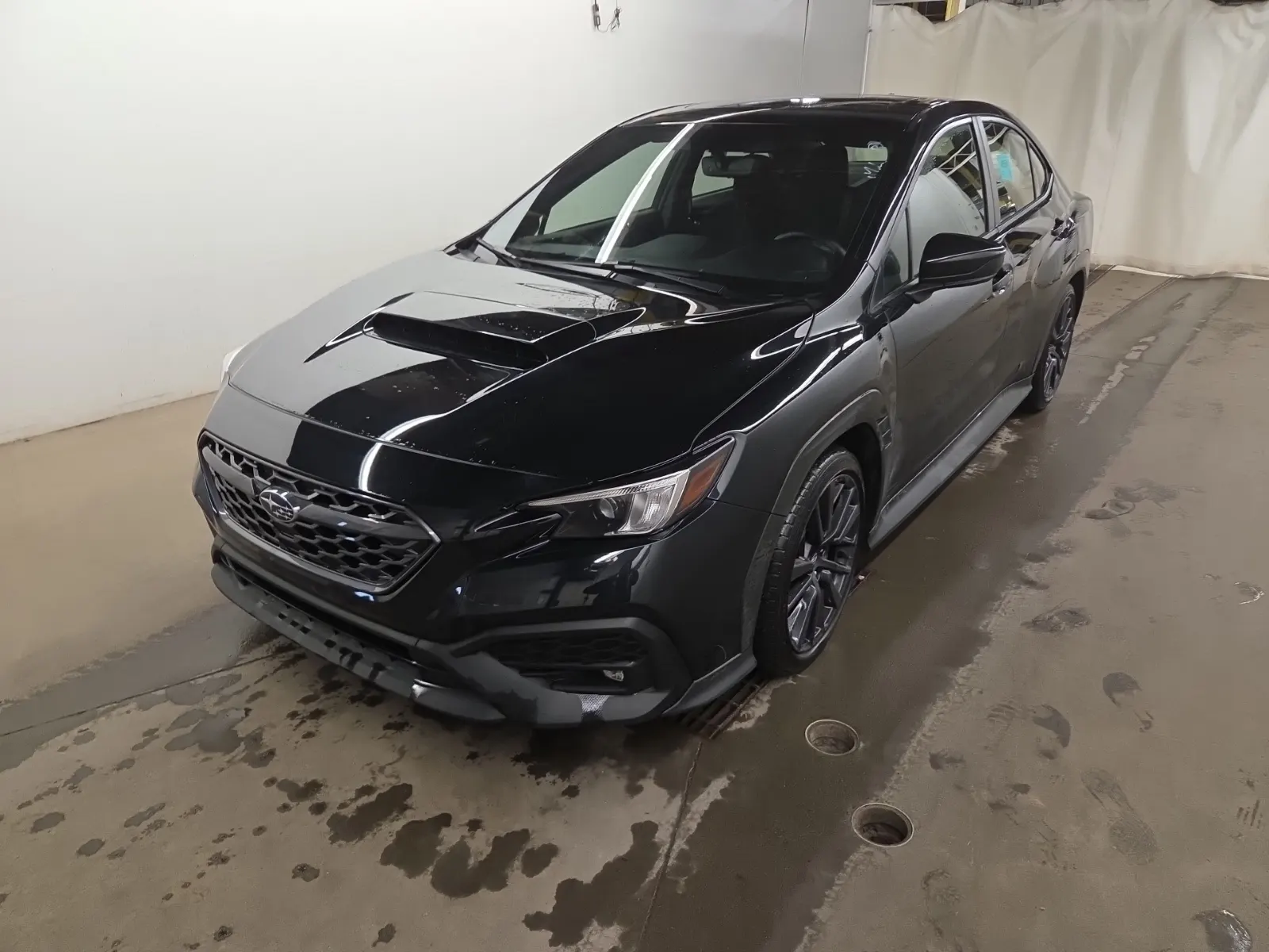 2023 Subaru WRX