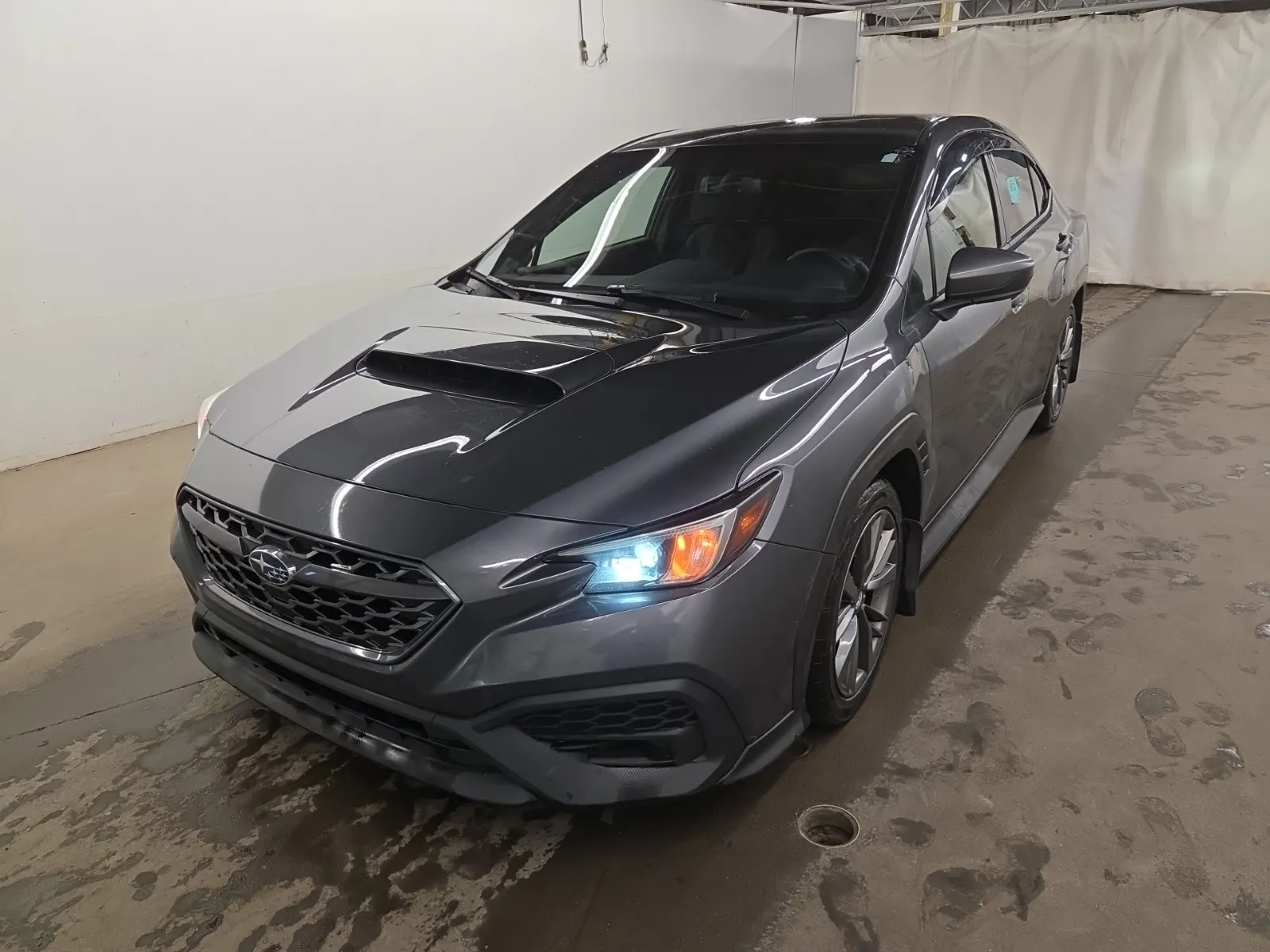 2023 Subaru WRX
