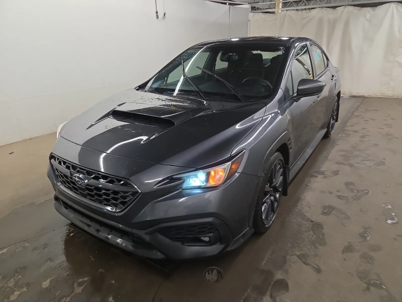 2023 Subaru WRX