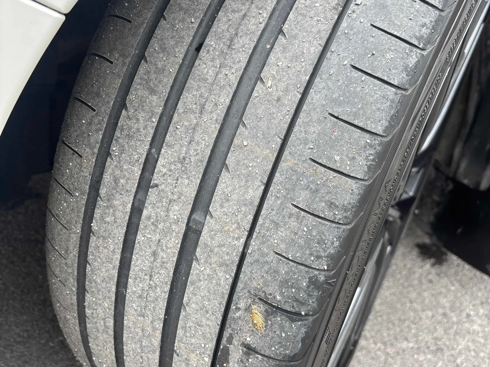Tire