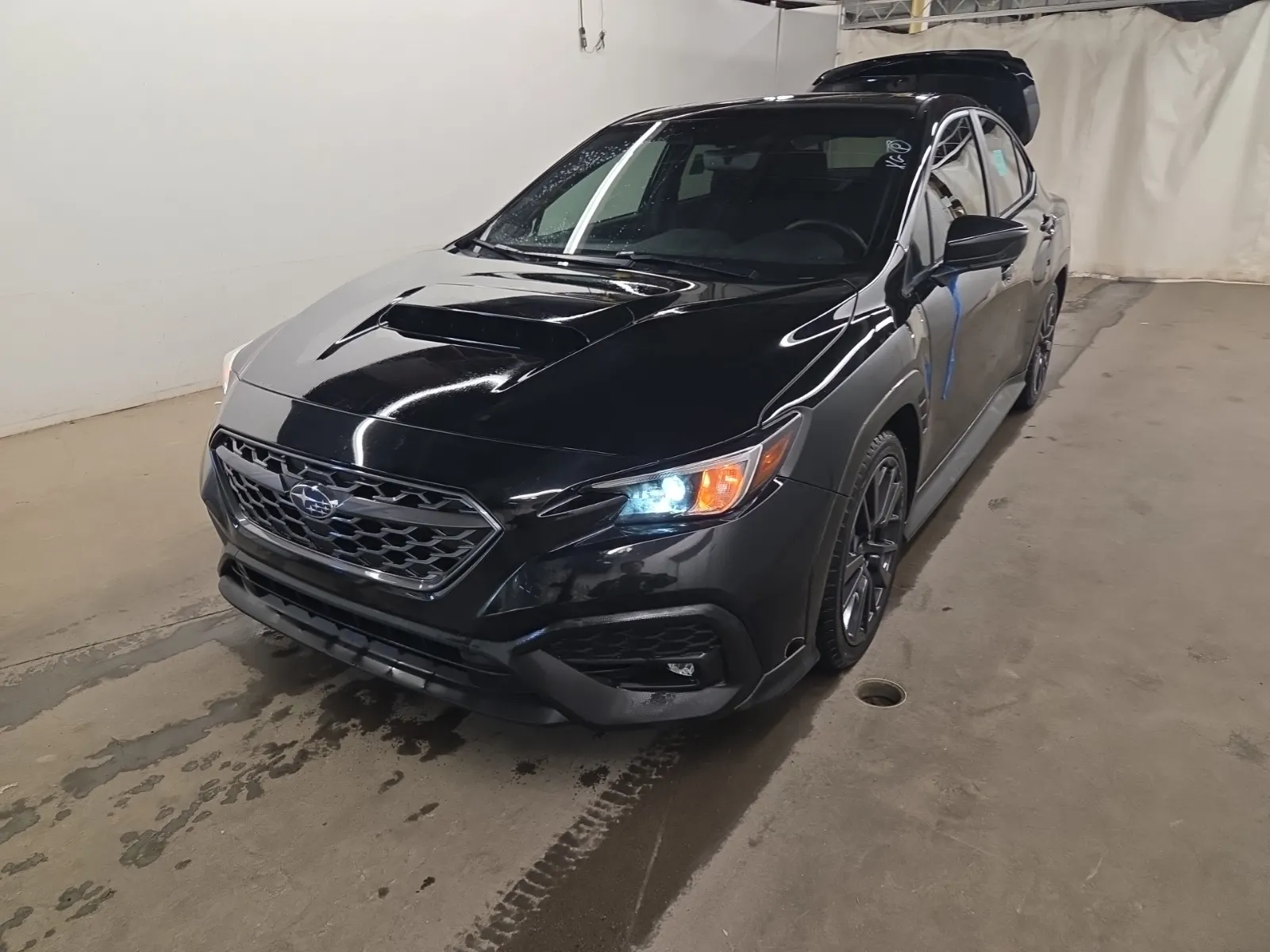 2024 Subaru WRX