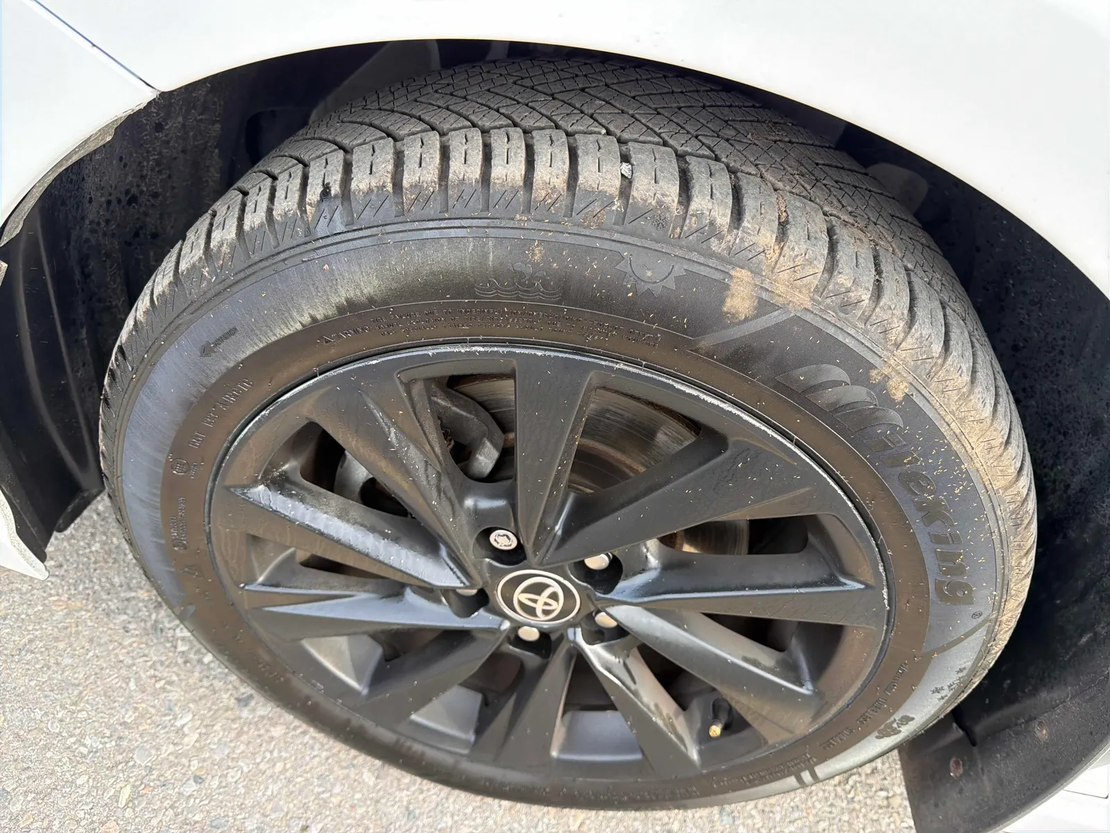 Tire