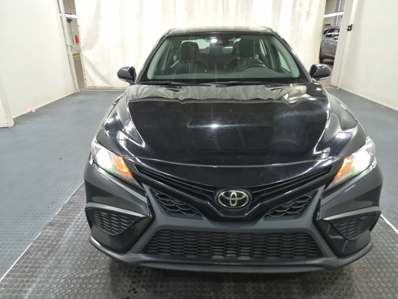 Full Front Photo