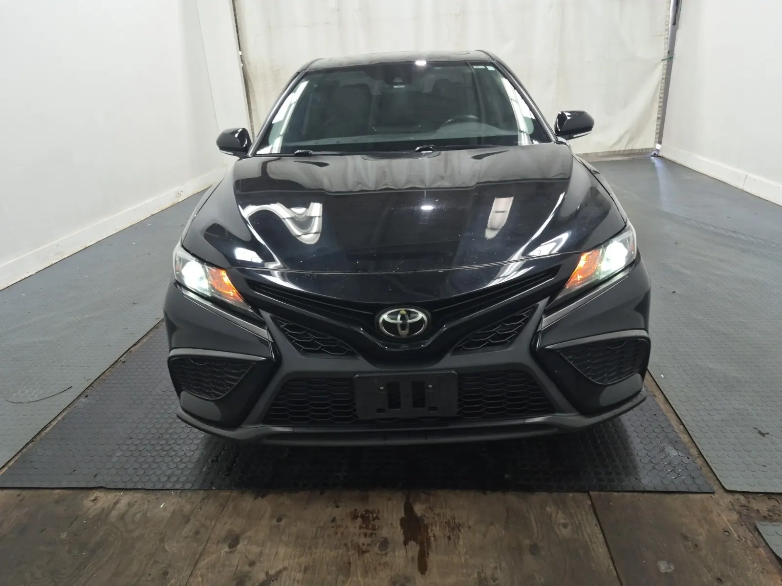 Full Front Photo