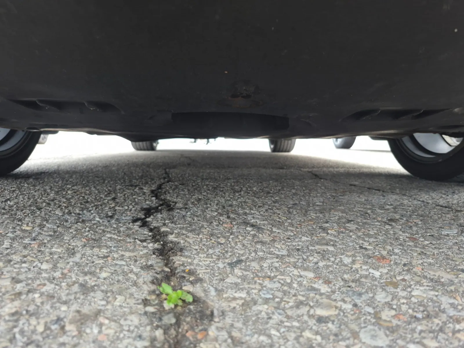 Undercarriage - Front Photo