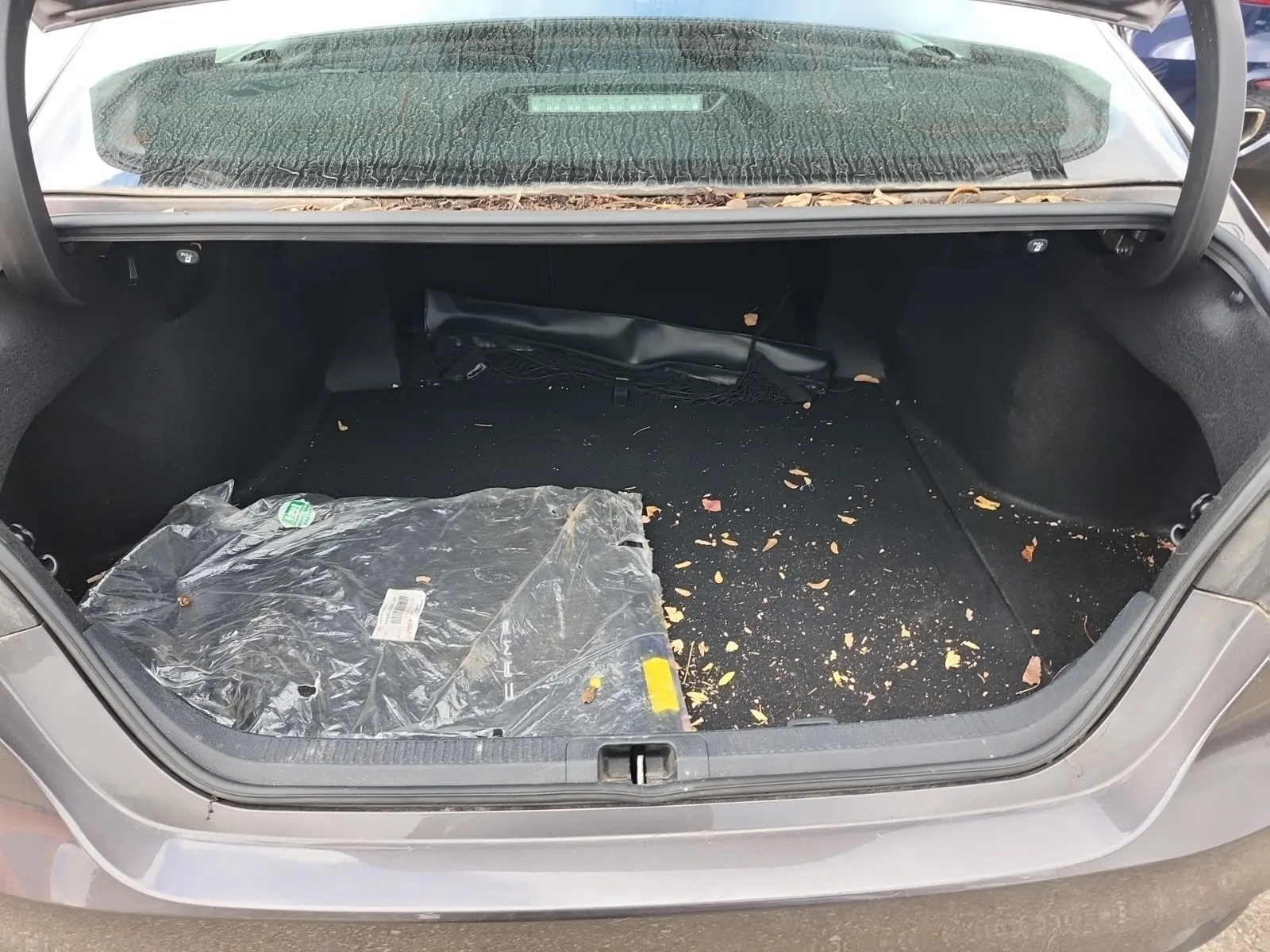 Cargo Area Photo
