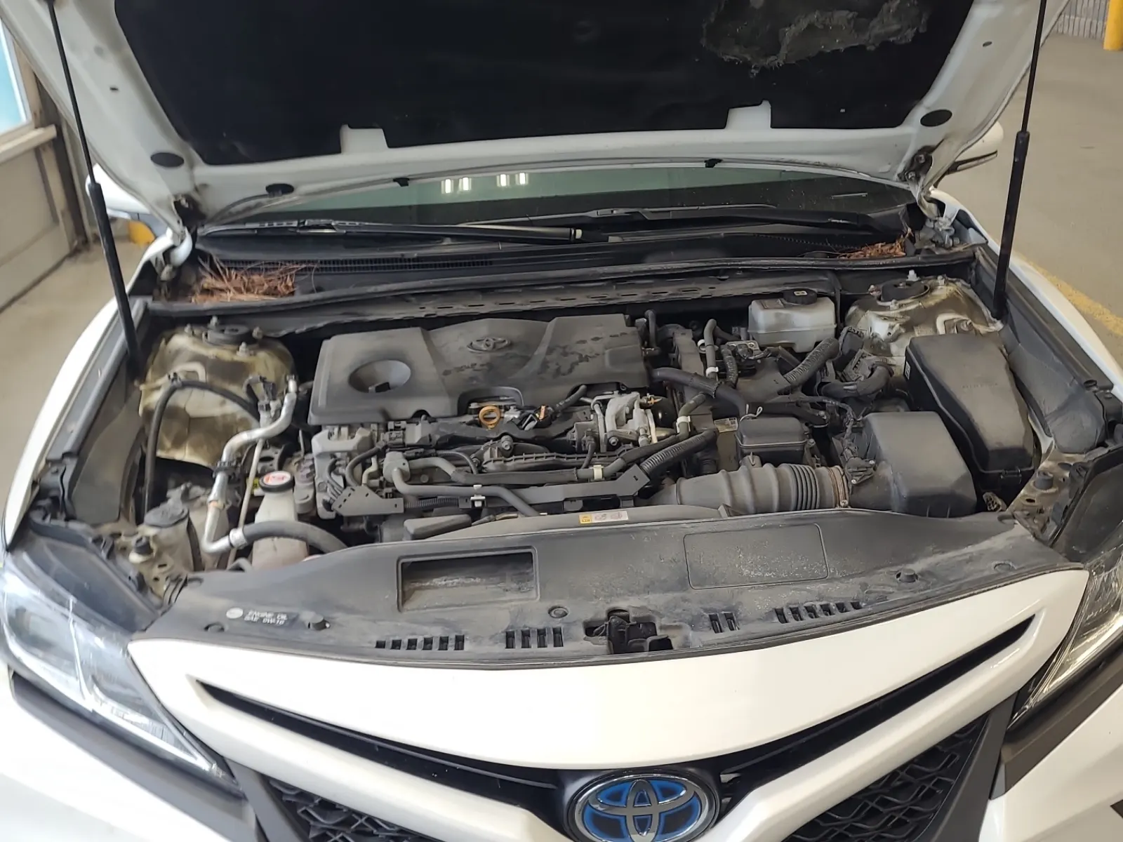 Engine Photo
