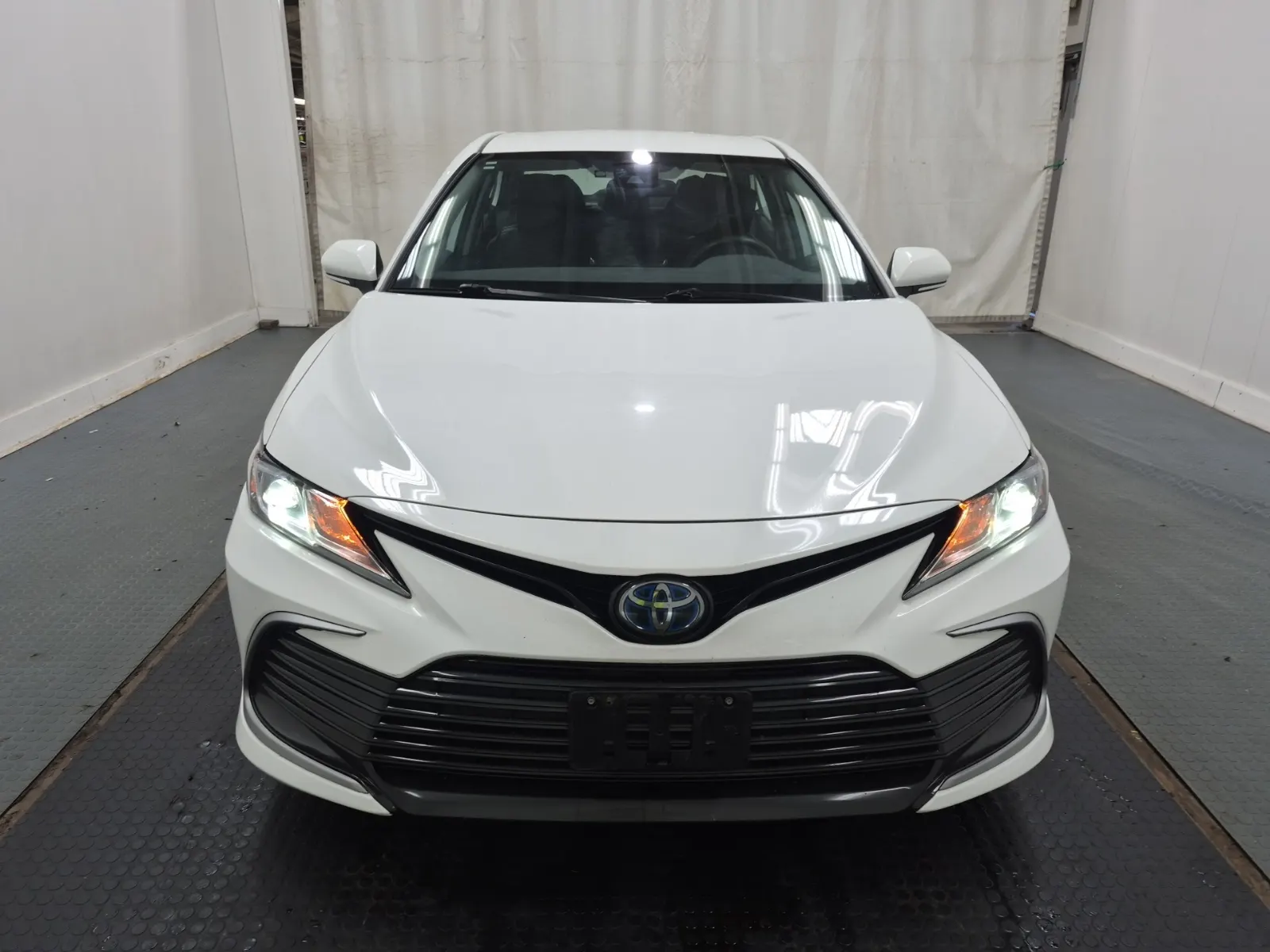 Full Front Photo