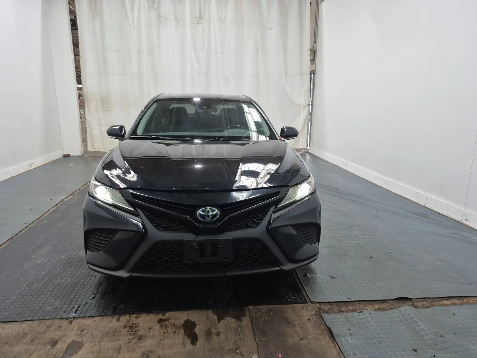 Full Front Photo