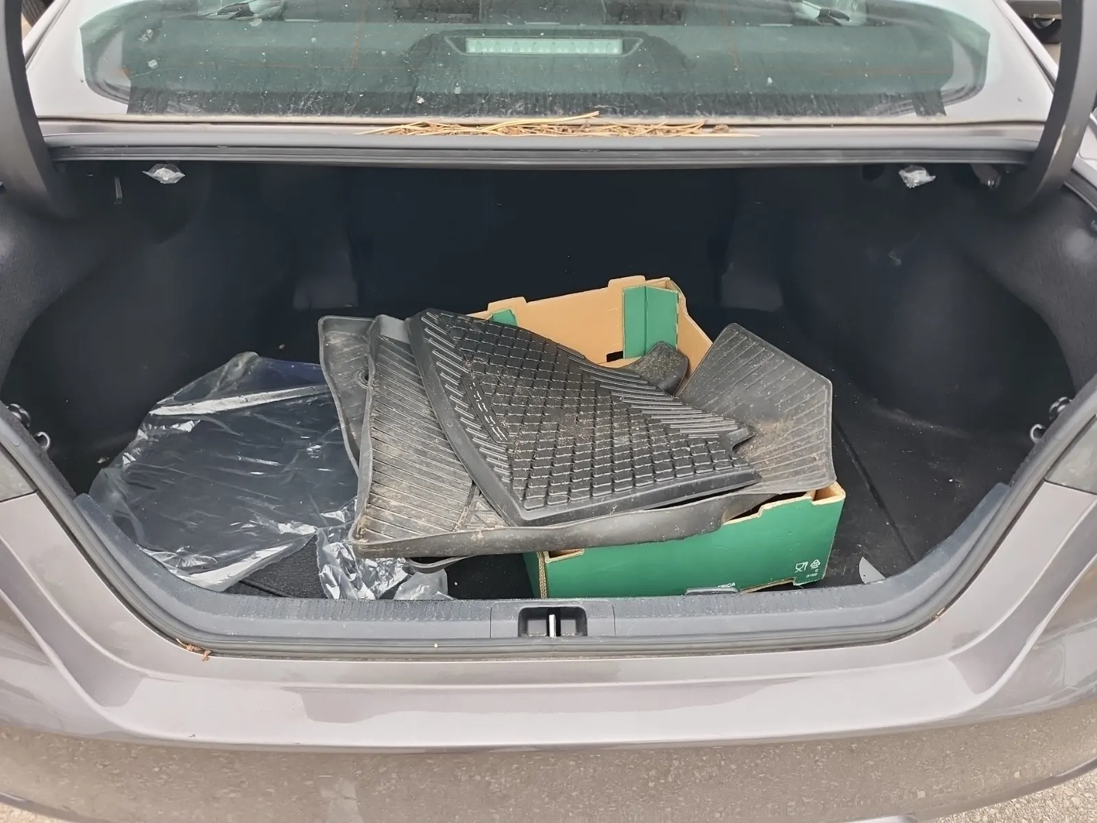 Cargo Area Photo