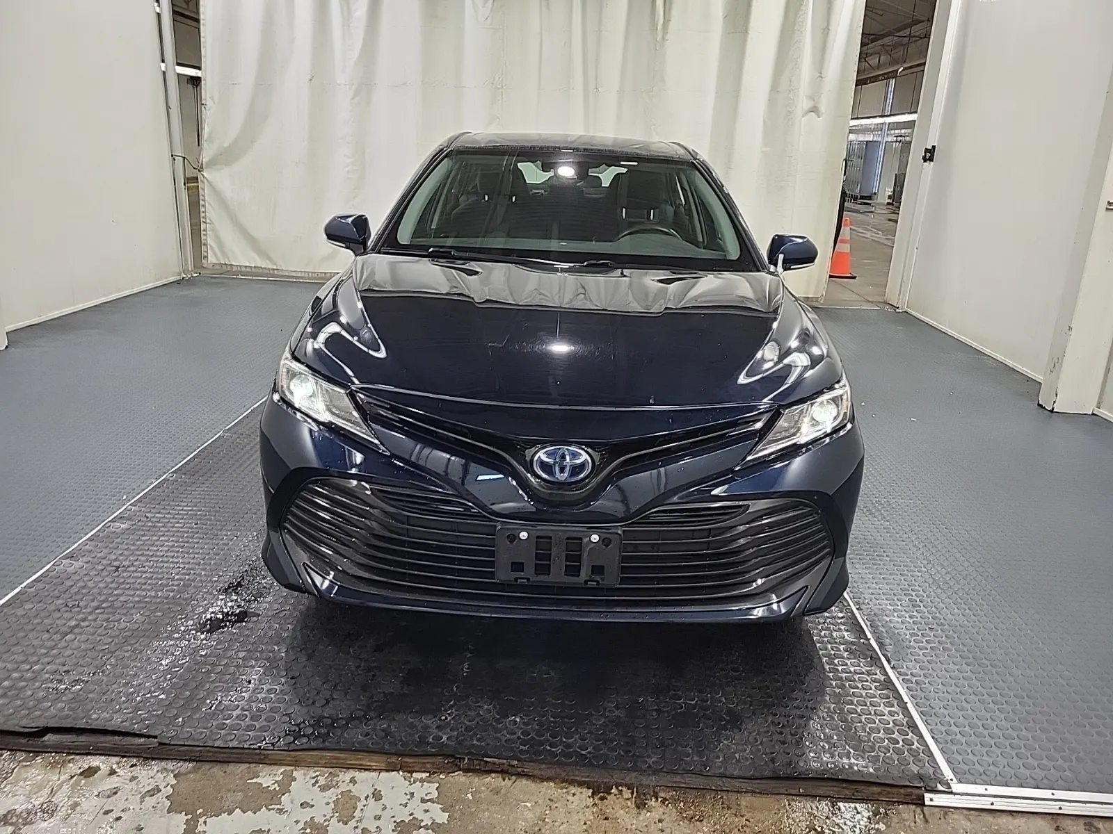 Full Front Photo