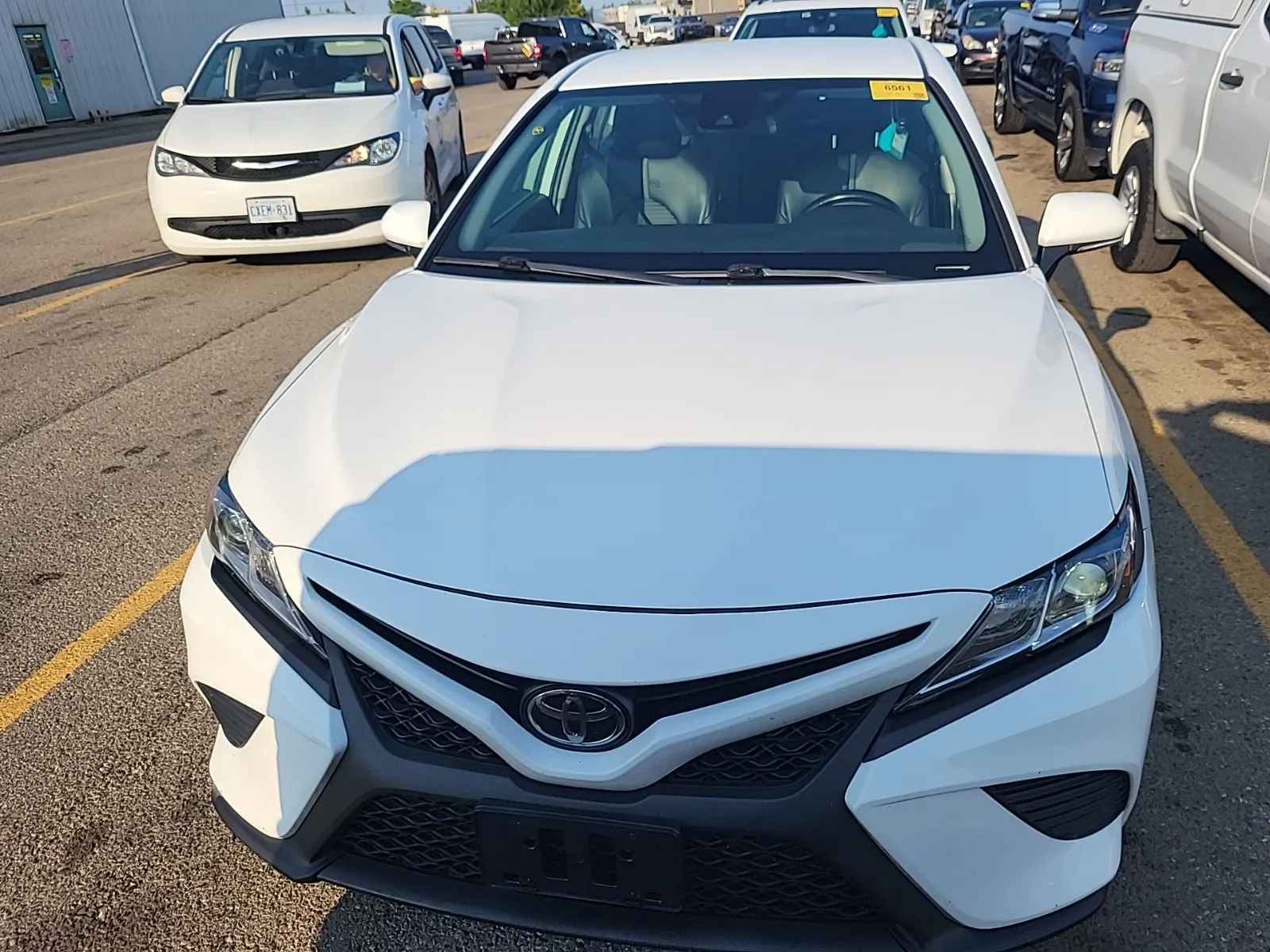 Full Front Photo