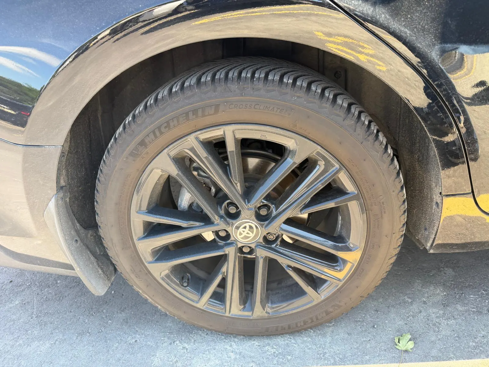 Additional Photo