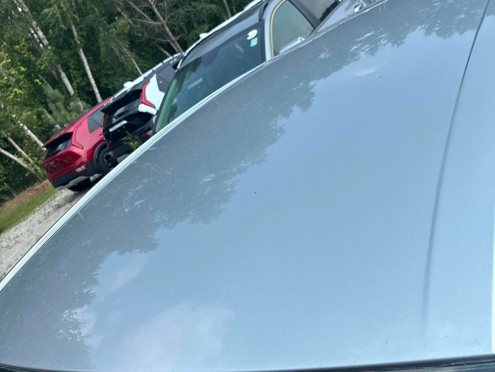 Additional Photo