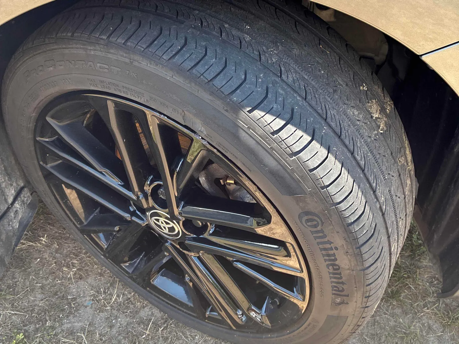 Tire