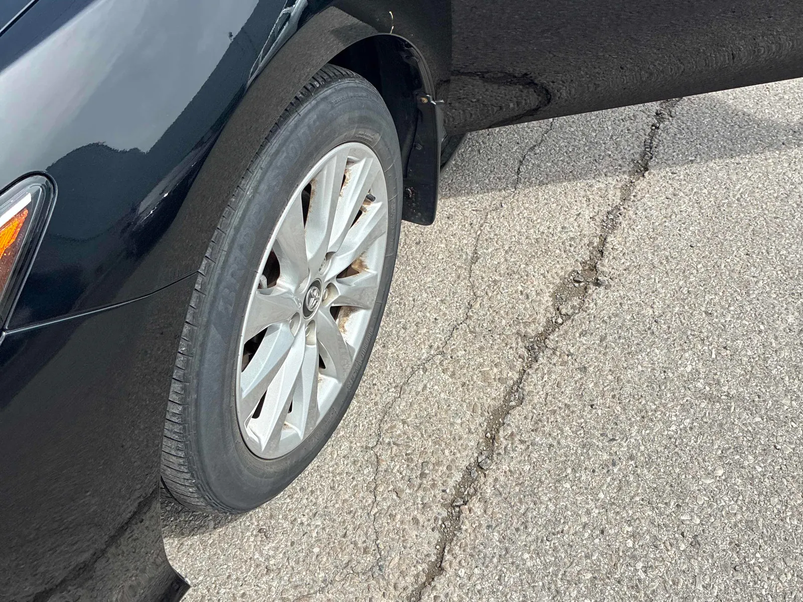 Additional Photo