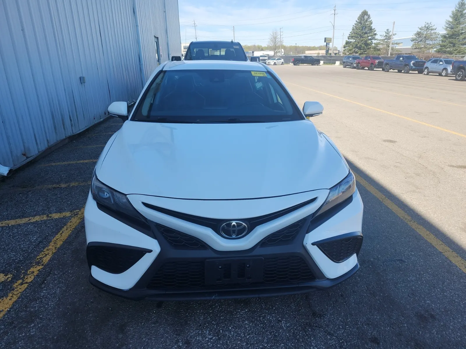 Full Front Photo