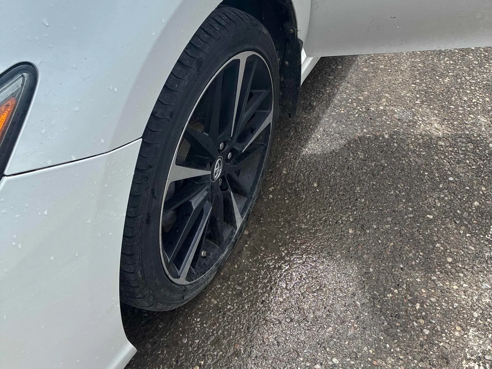 Additional Photo