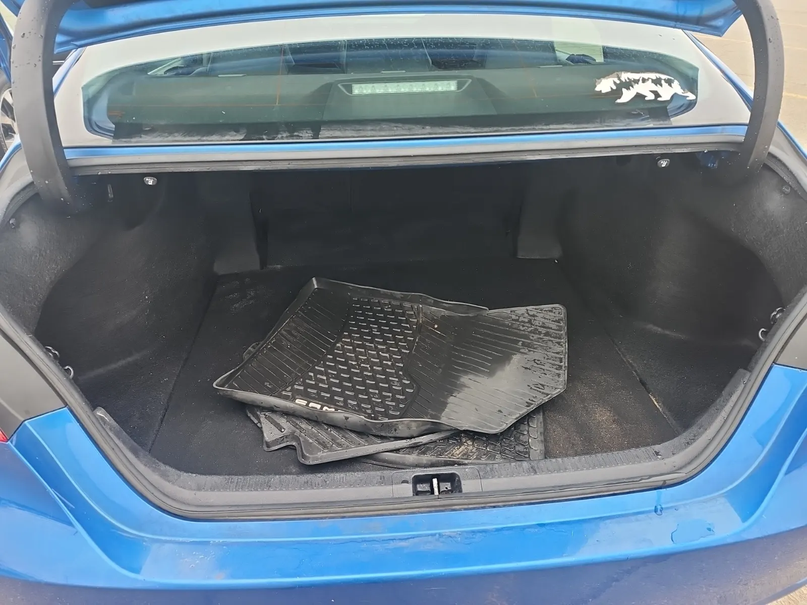 Cargo Area Photo