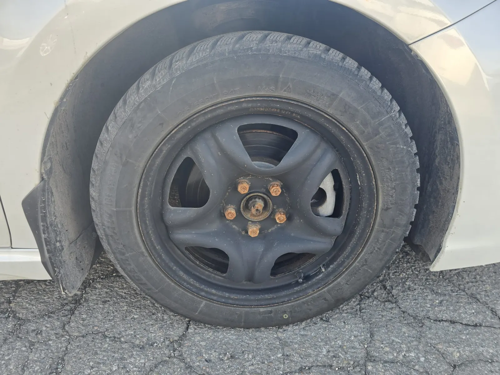 Additional Photo