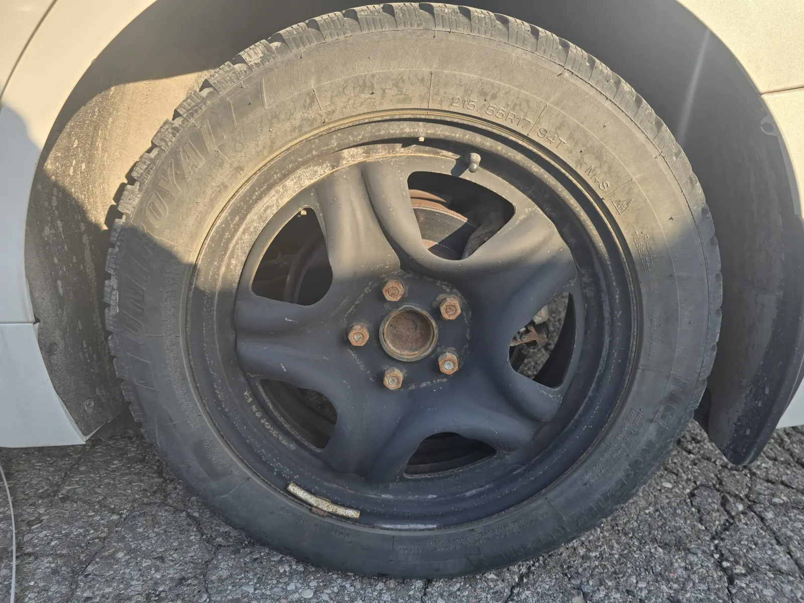Tire
